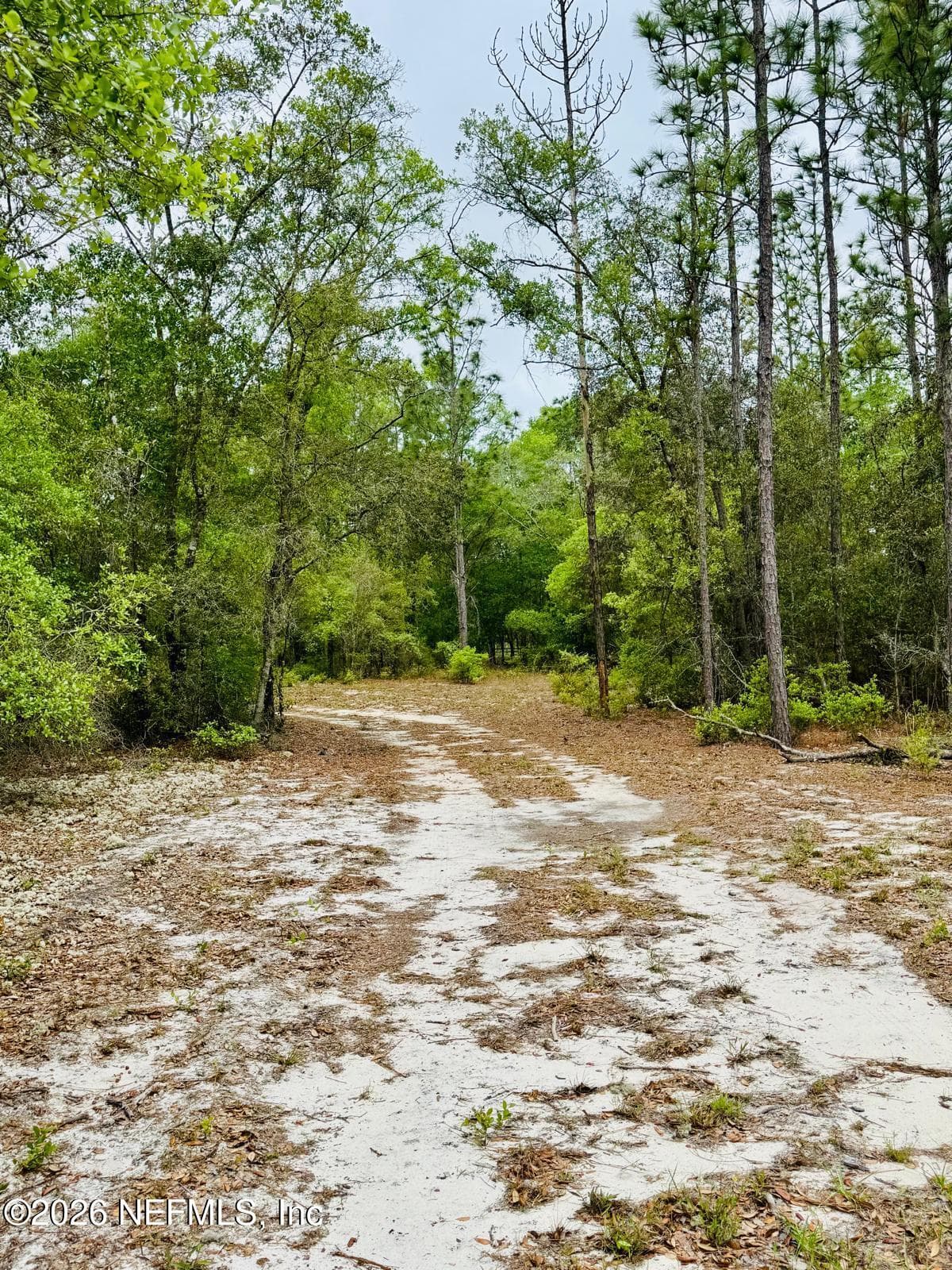 Photo 20 of 2857 STEEL BRIDGE Road, Macclenny, FL 32063