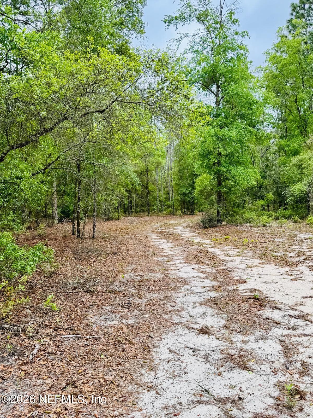 Photo 21 of 2857 STEEL BRIDGE Road, Macclenny, FL 32063