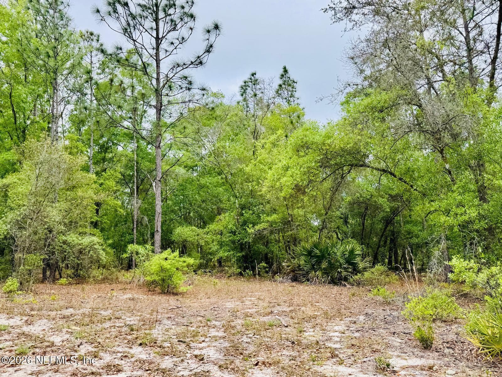 Photo 22 of 2857 STEEL BRIDGE Road, Macclenny, FL 32063