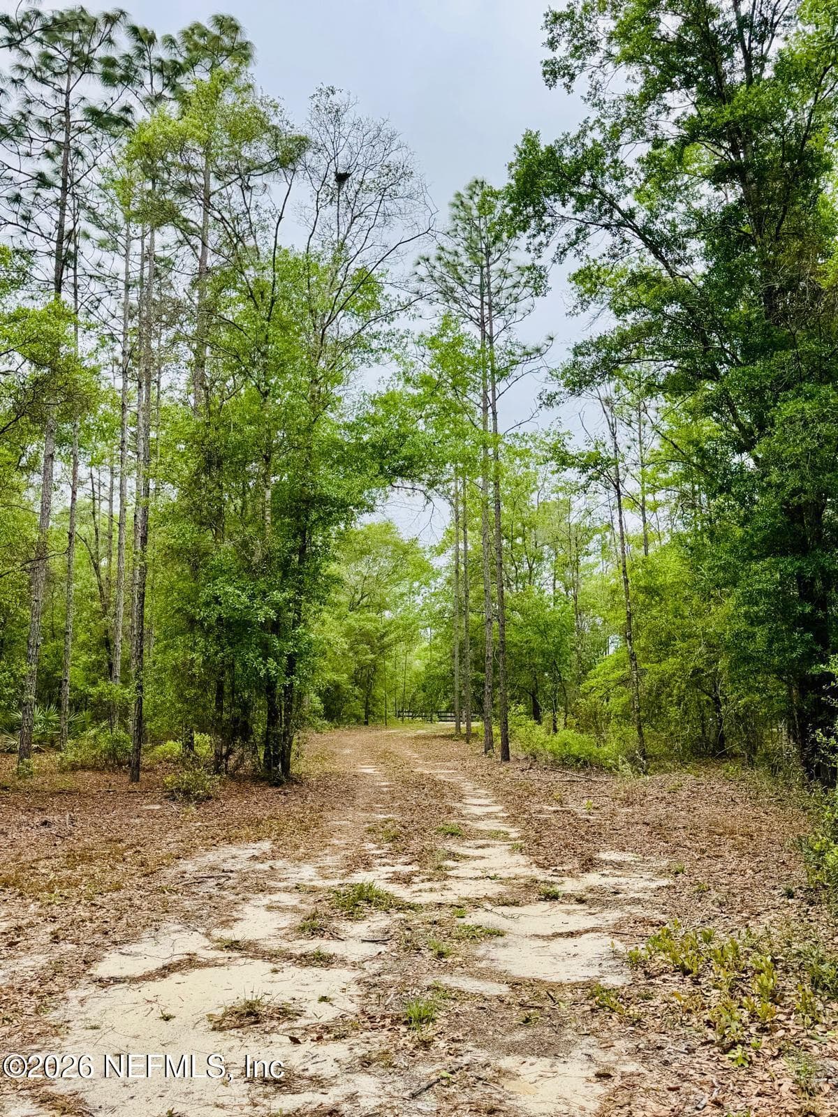 Photo 23 of 2857 STEEL BRIDGE Road, Macclenny, FL 32063