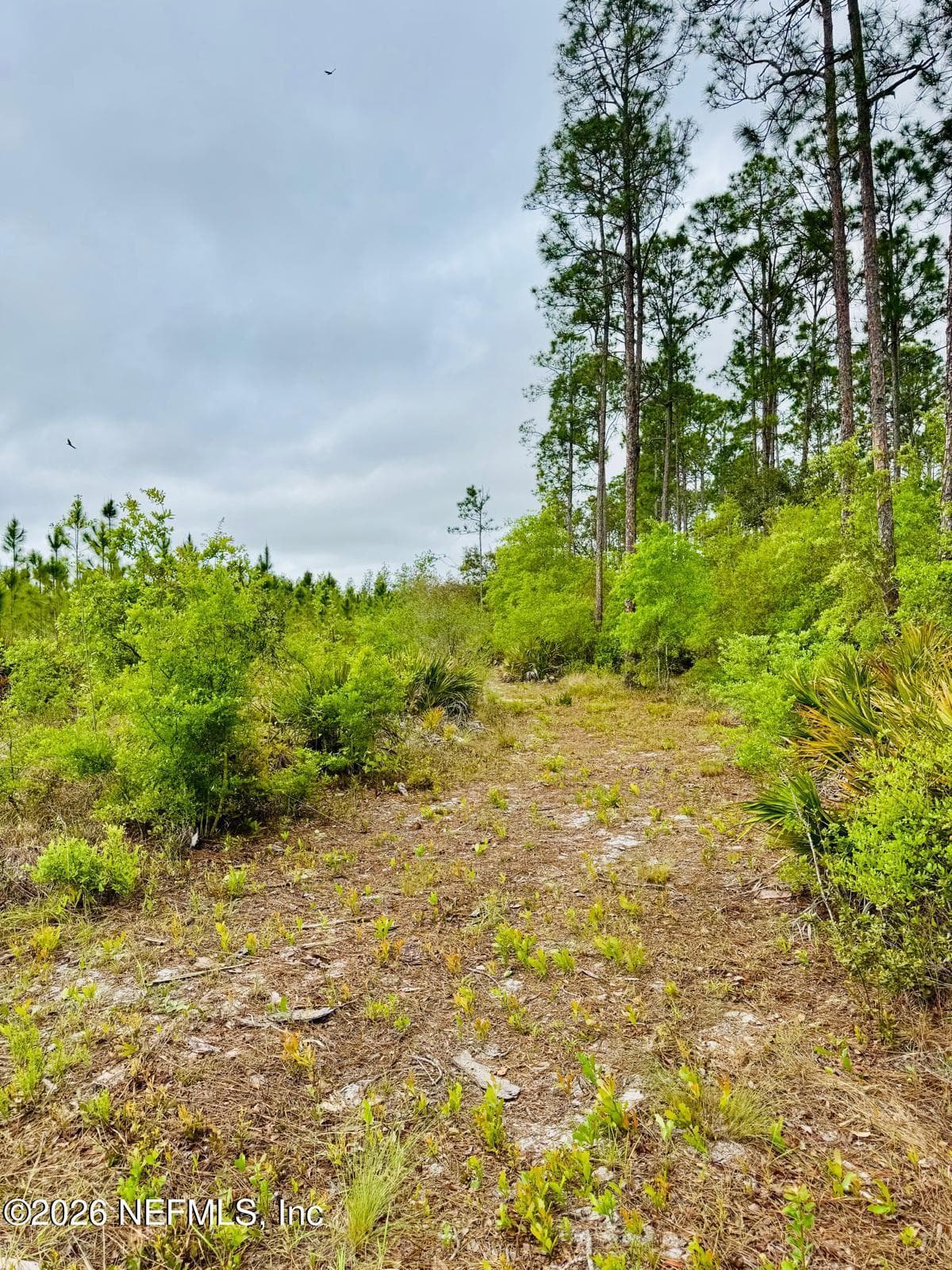 Photo 31 of 2857 STEEL BRIDGE Road, Macclenny, FL 32063