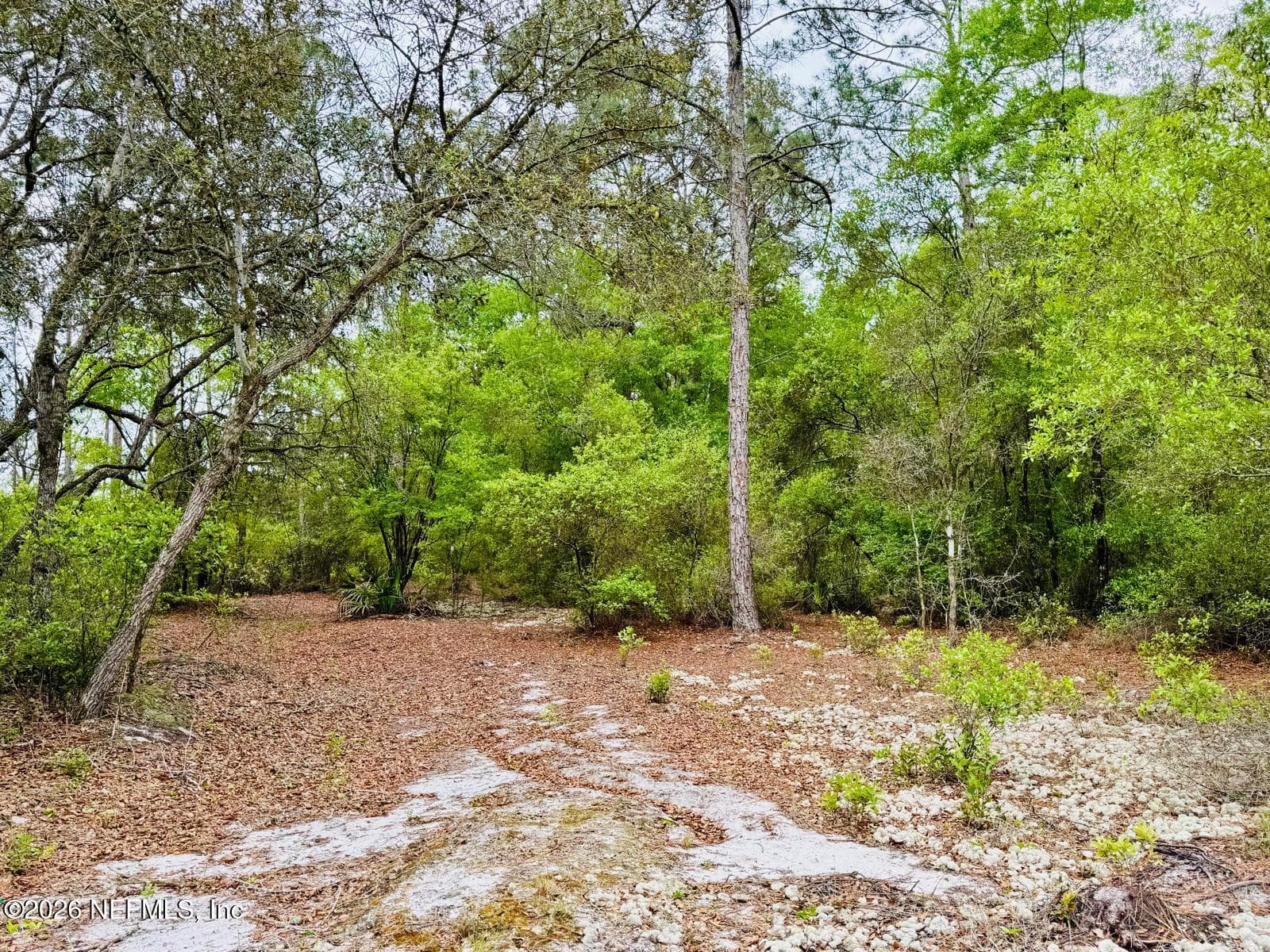 Photo 32 of 2857 STEEL BRIDGE Road, Macclenny, FL 32063