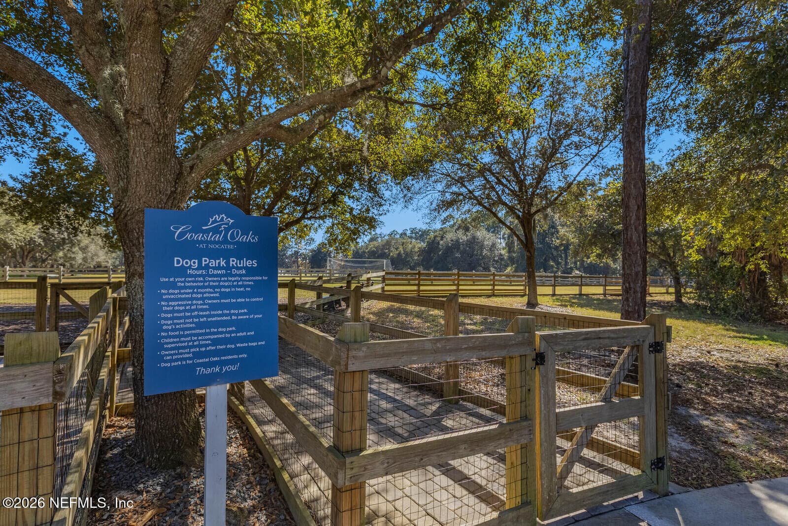 Dog Park in Nocatee — 180 PALM ISLAND Way, Ponte Vedra, FL 32081