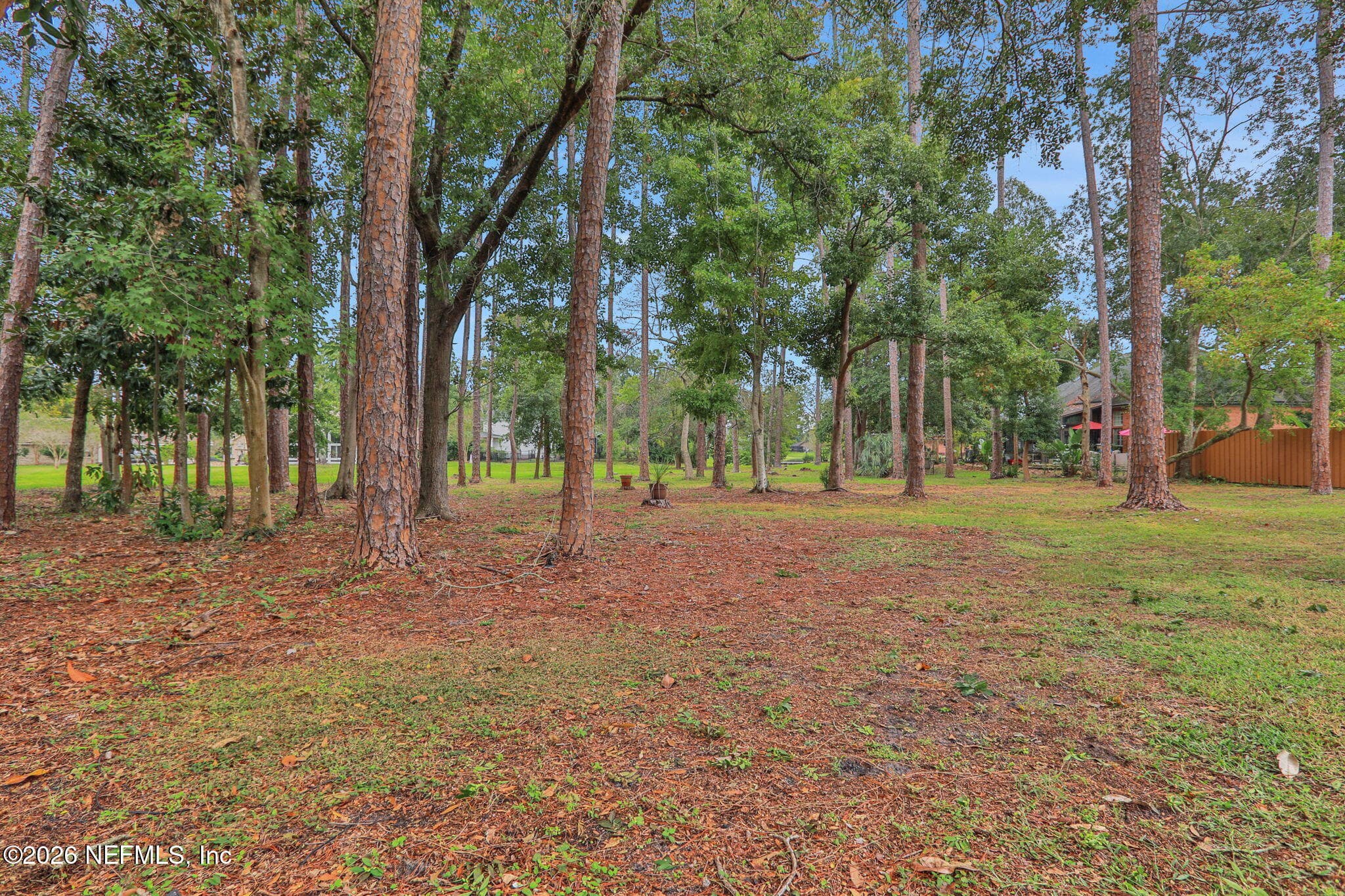 Photo 37 of 1860 ROYAL FERN Lane, Fleming Island, FL 32003