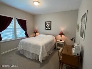 Photo 37 of 405 RUM RUNNER Way, St. Johns, FL 32259