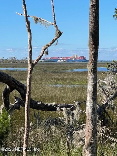 Photo 58 of 1750 HARRINGTON PARK Drive, Jacksonville, FL 32225