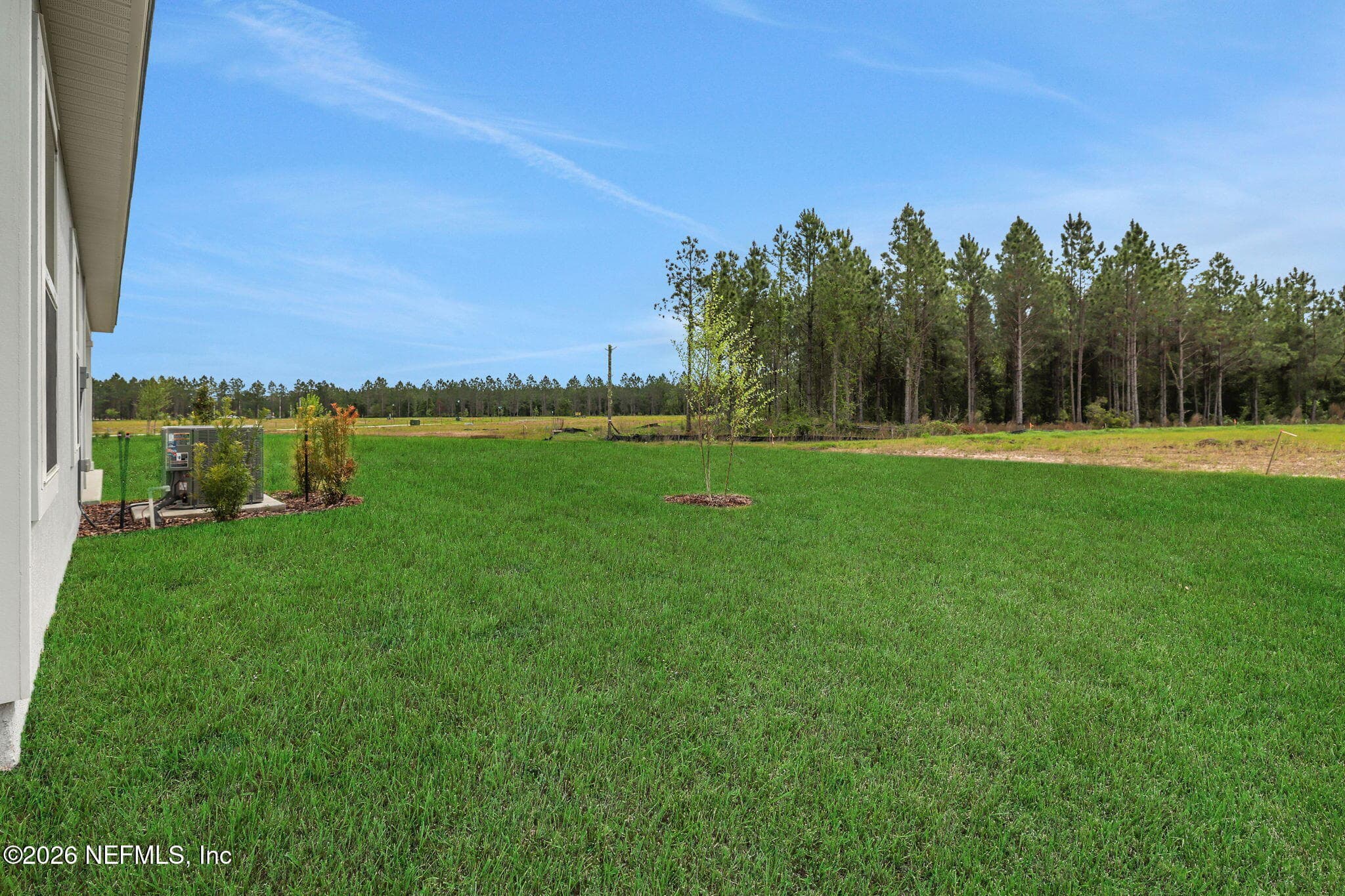 Photo 4 of 3829 HOLSTEIN Way, Green Cove Springs, FL 32043