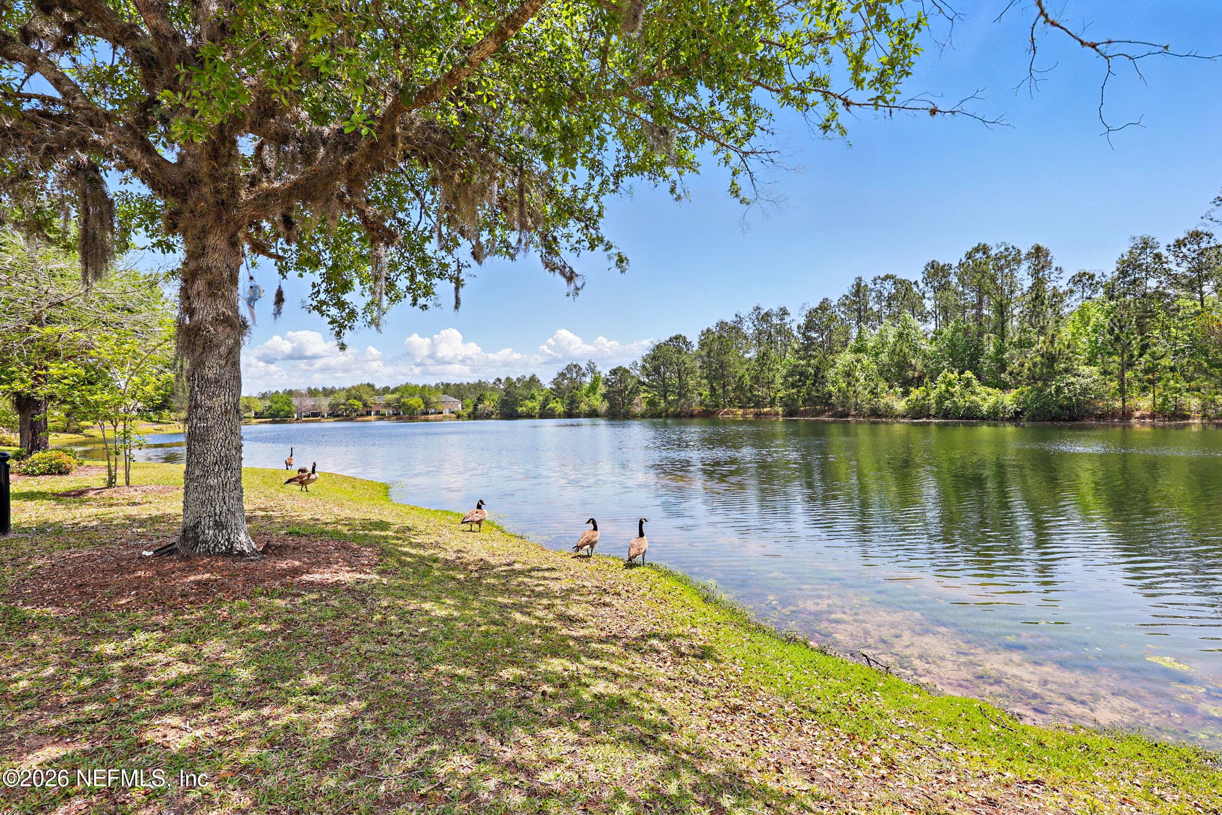 Peaceful community pond with walking paths, offering a relaxing setting for outdoor strolls and enjoying nature. — 3650 CRESWICK Circle C, Orange Park, FL 32065
