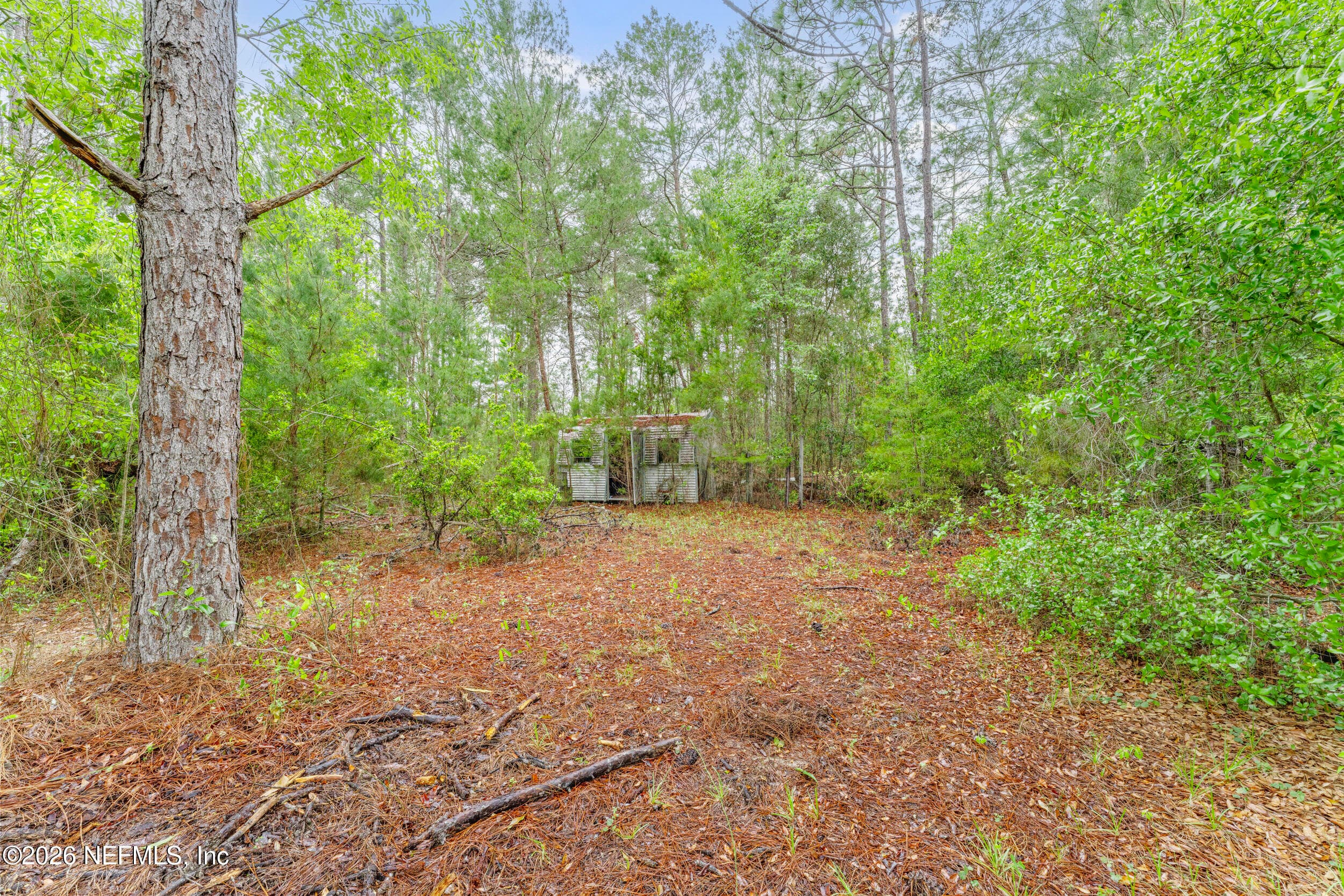 Photo 8 of 1056 BELLAMY Road, Melrose, FL 32666