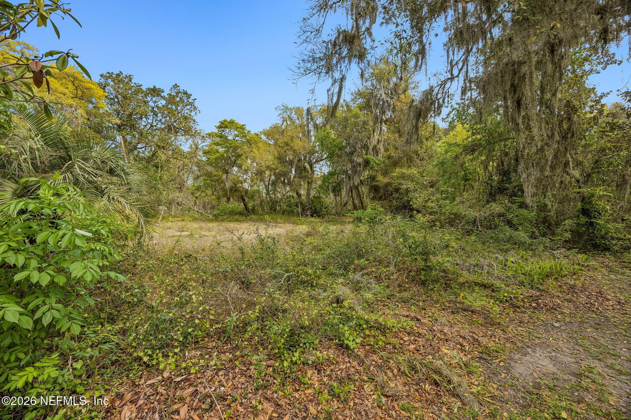 Photo 6 of 1624 STEWART Avenue, Fernandina Beach, FL 32034