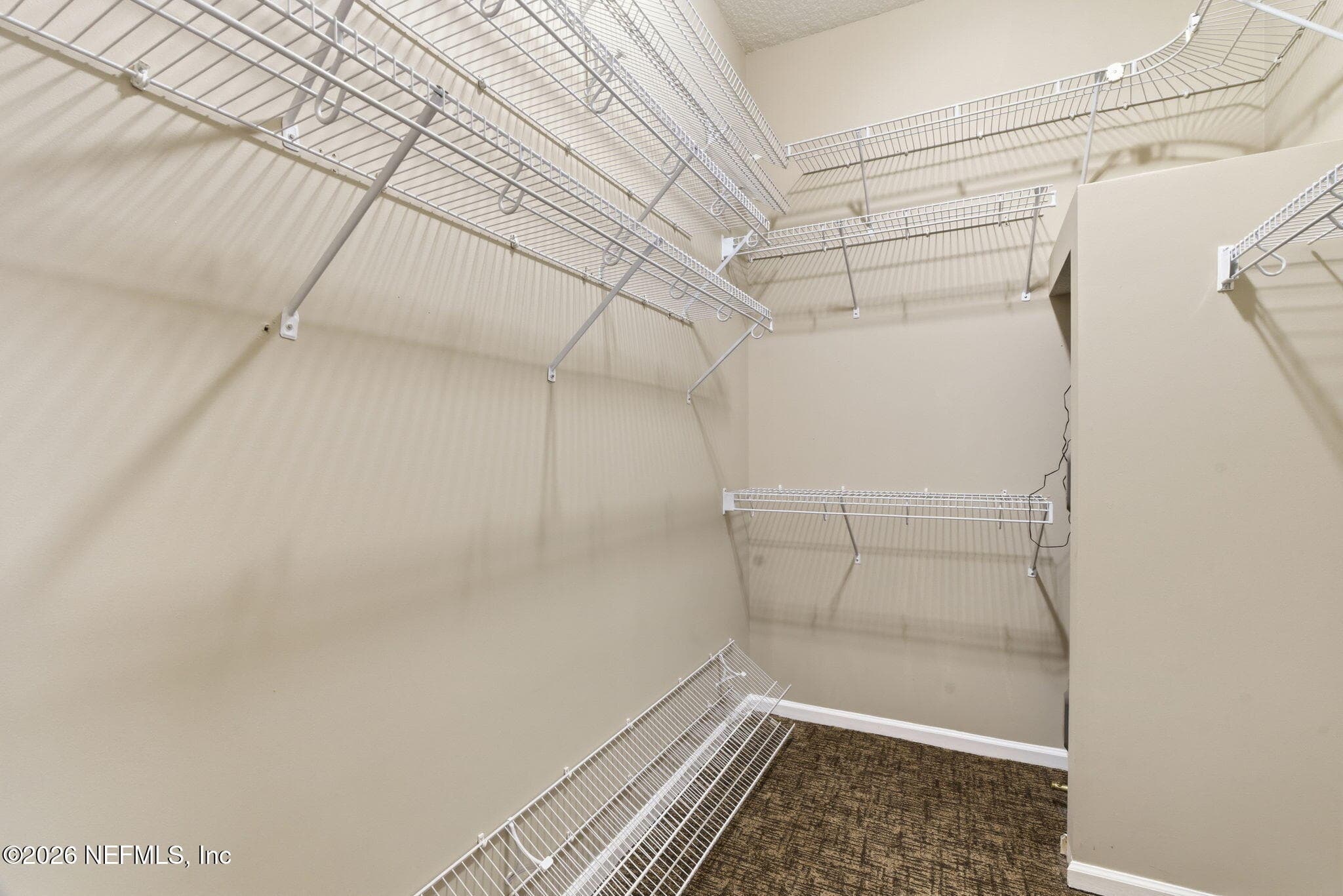 Photo 52 of 1600 SPRING WATER Court, Fleming Island, FL 32003