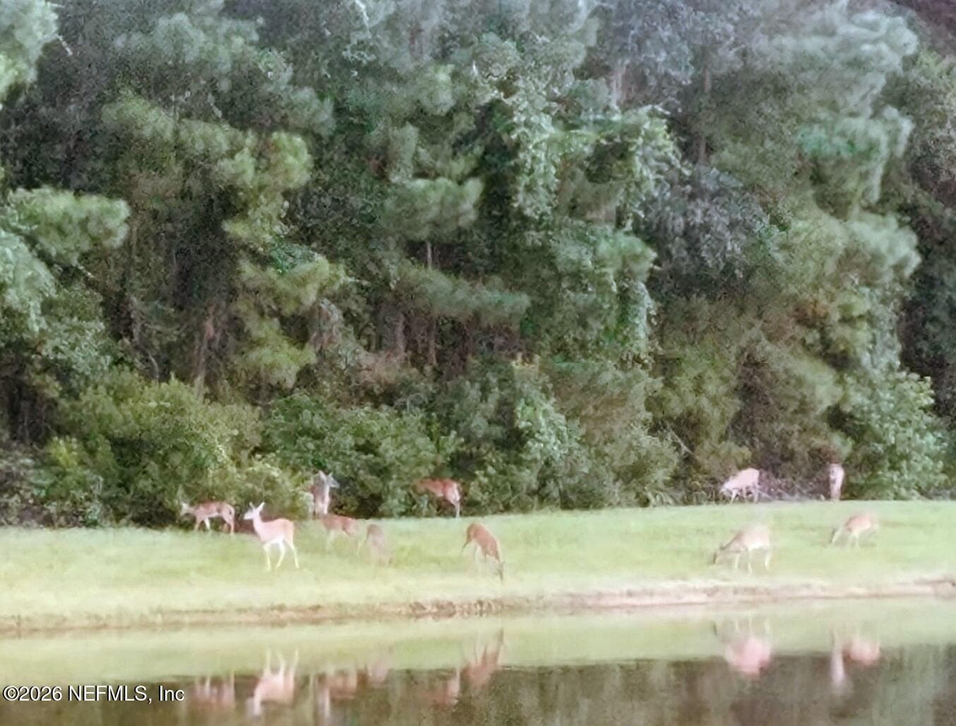 Photo 35 of 821 W CUMBERLAND Court, St. Johns, FL 32259