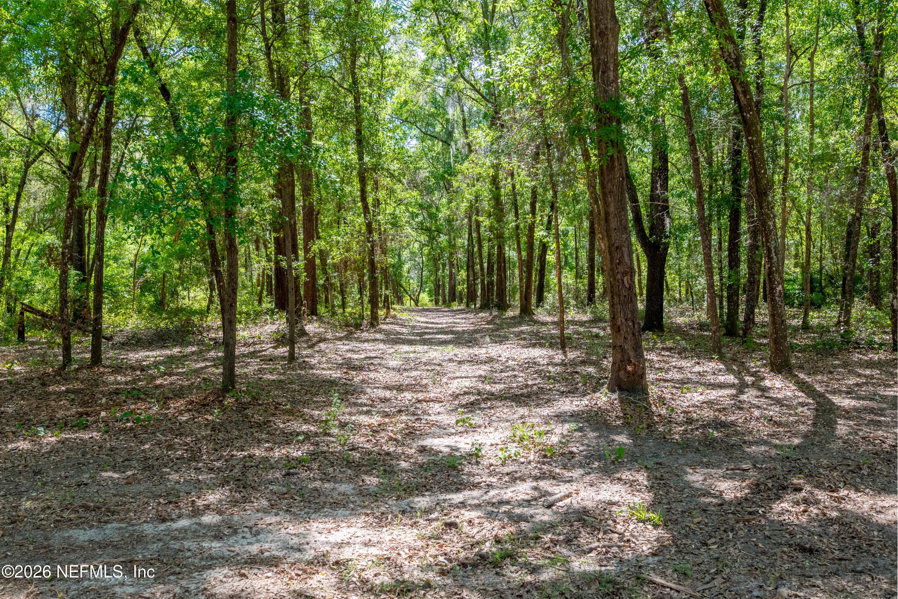 Photo 35 of 4940 DEVILS DEN Road, Keystone Heights, FL 32656