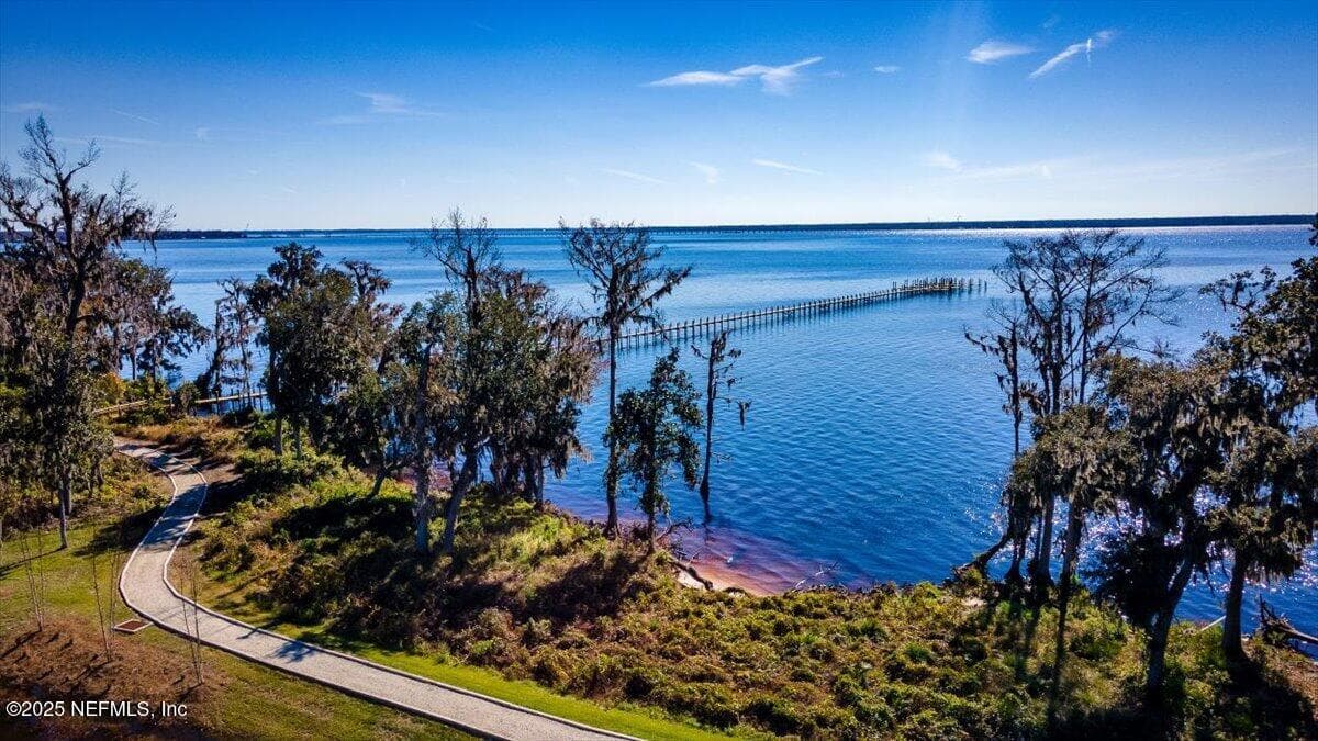 Photo 57 of 196 ZEPHYR Drive, St. Johns, FL 32259