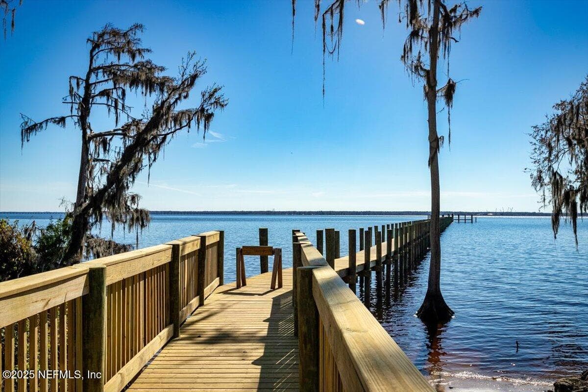 Photo 59 of 196 ZEPHYR Drive, St. Johns, FL 32259
