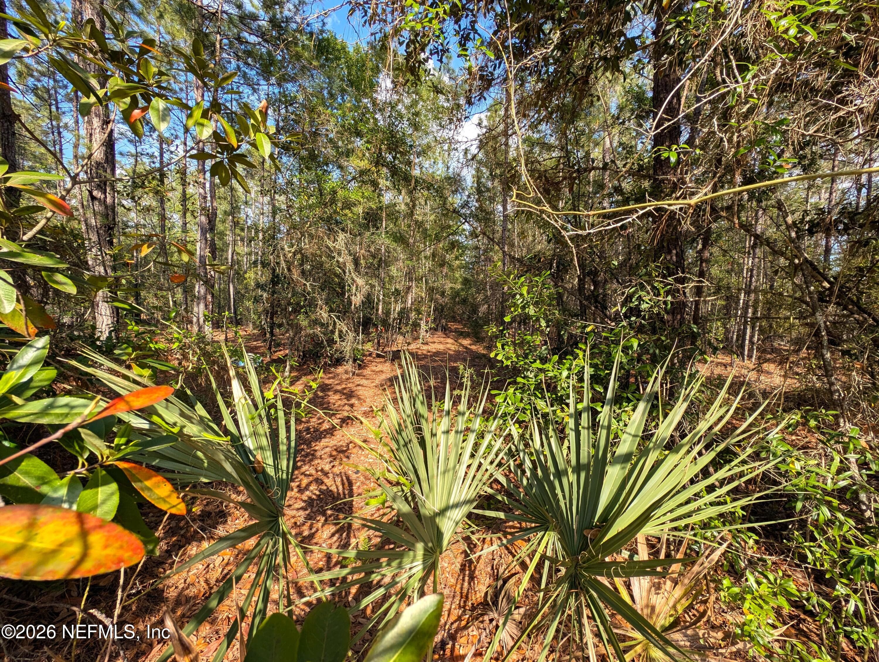 Photo 5 of 0 NE US HWY 301, Waldo, FL 32694