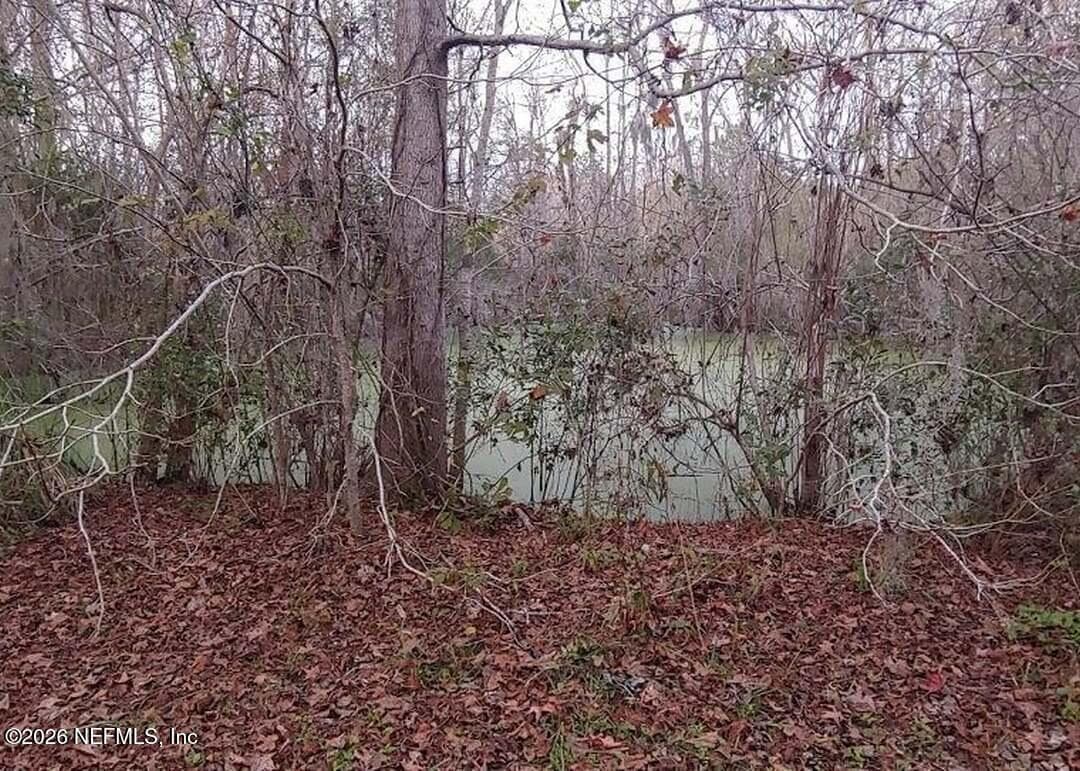 Photo 10 of 95344 MARC ANTHONY Road, Fernandina Beach, FL 32034
