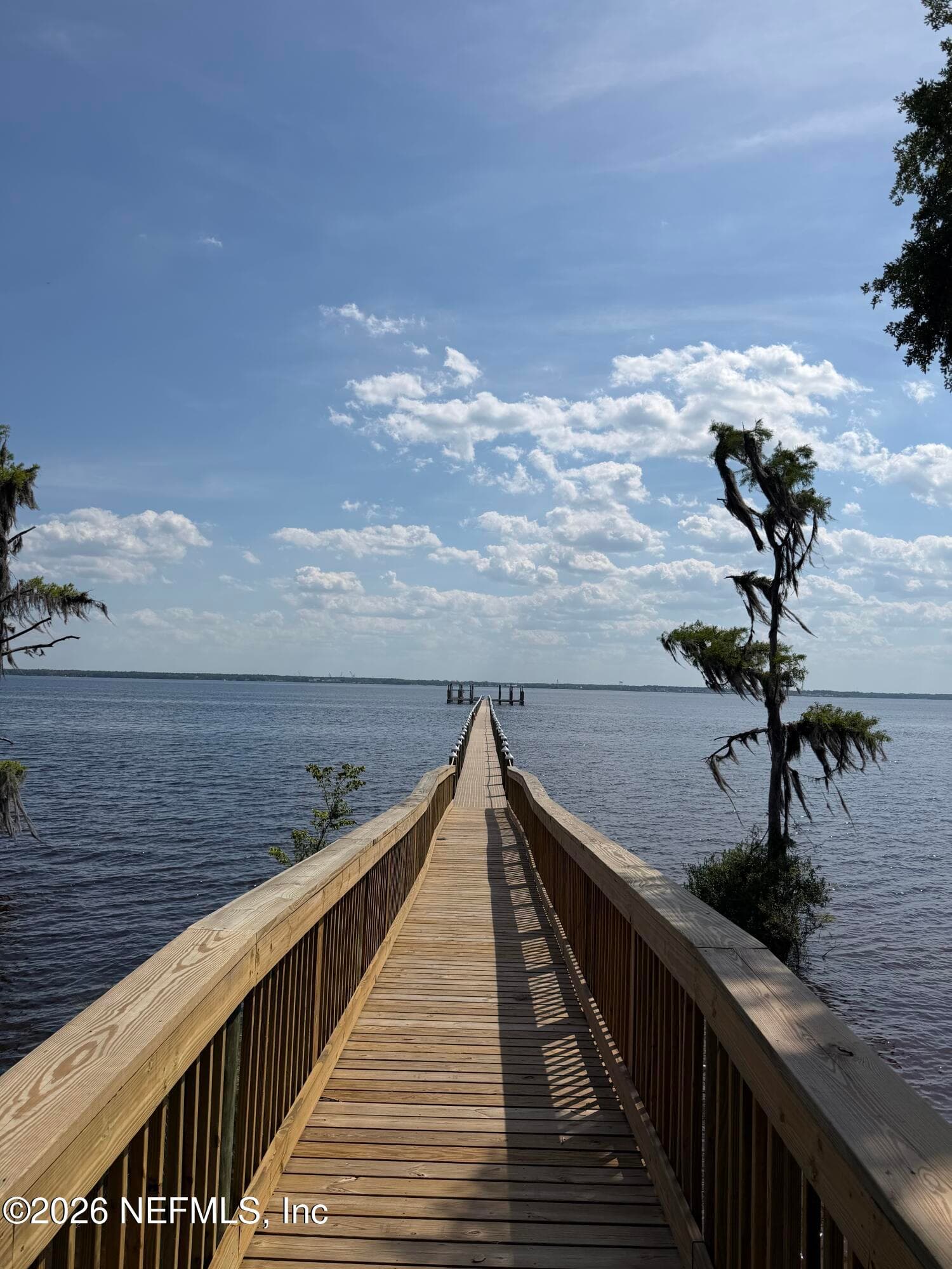 Photo 37 of 196 ZEPHYR Drive, St. Johns, FL 32259