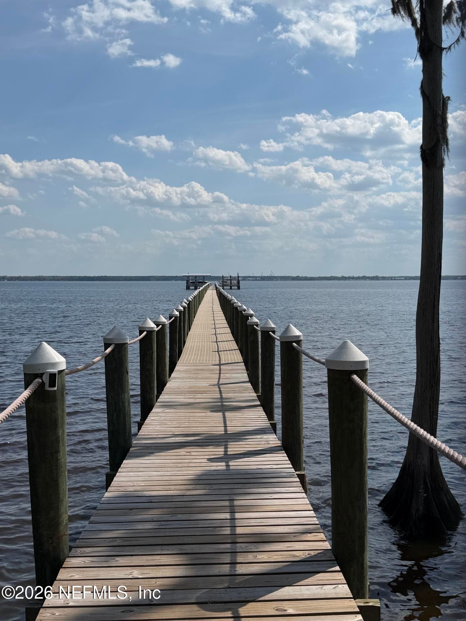 Photo 39 of 196 ZEPHYR Drive, St. Johns, FL 32259