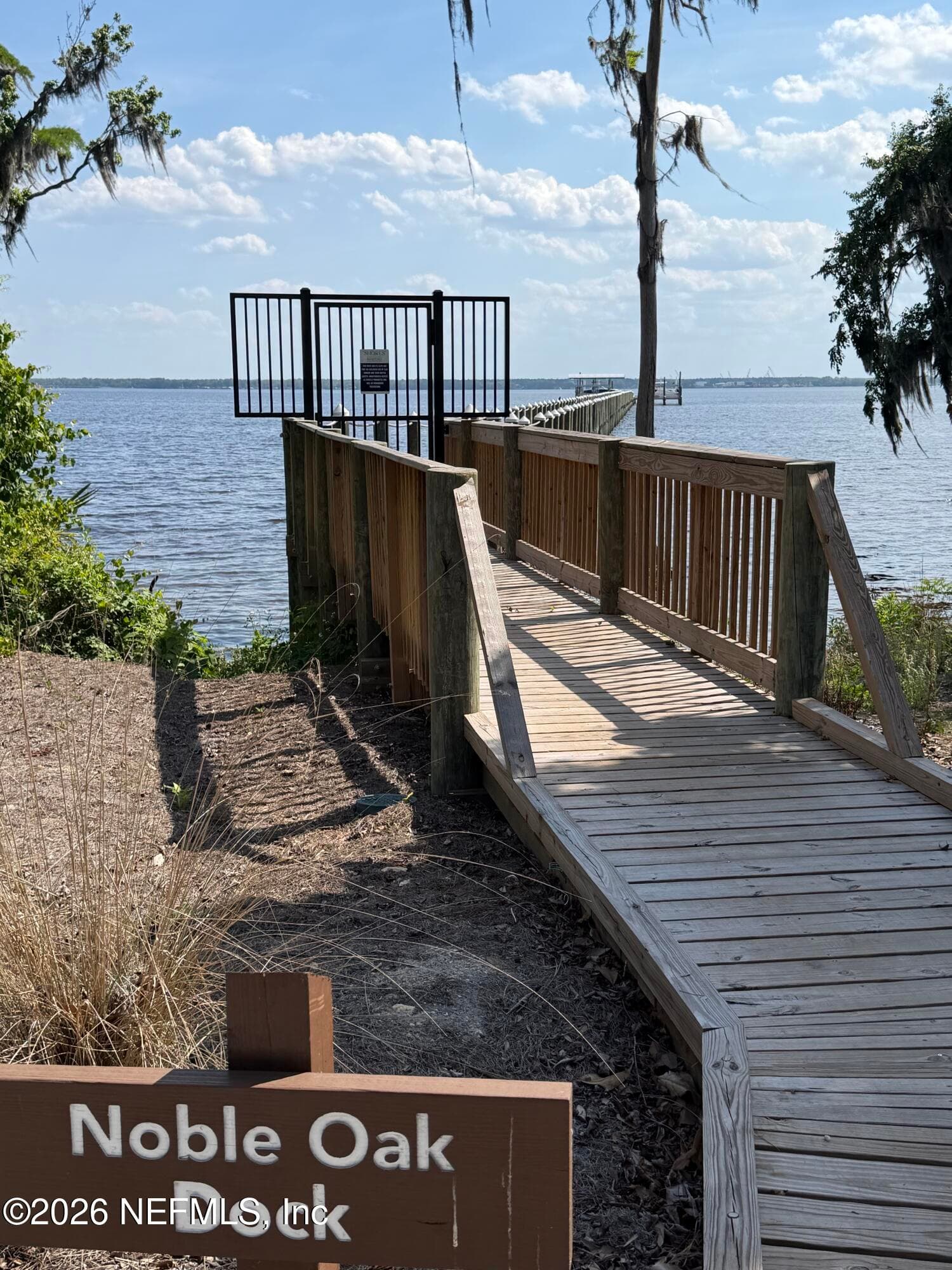 Photo 41 of 196 ZEPHYR Drive, St. Johns, FL 32259