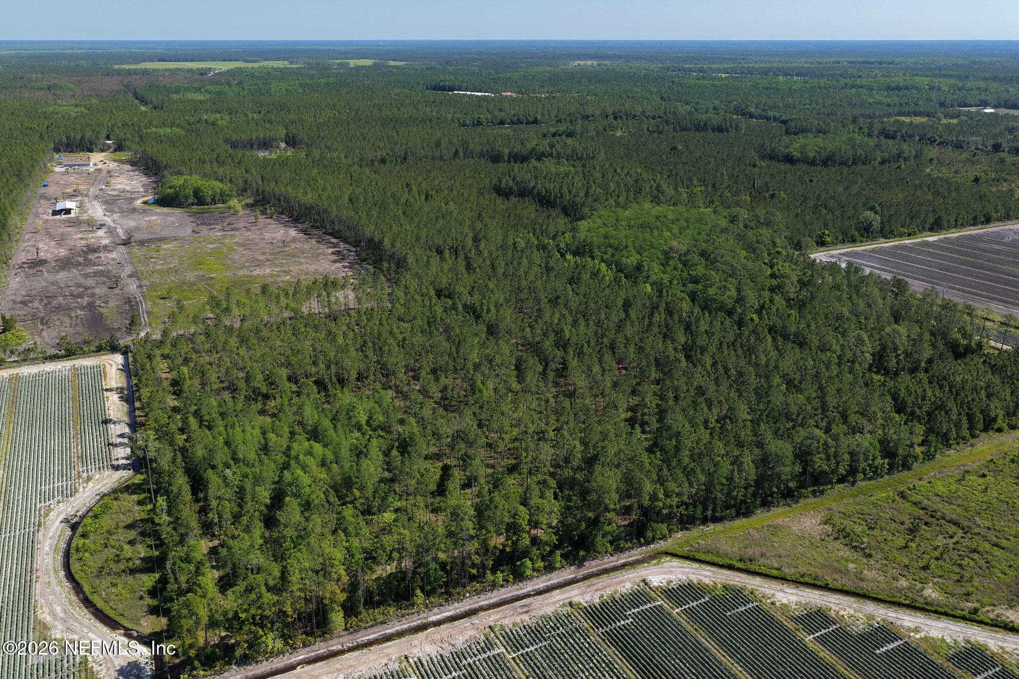 Photo 55 of 15539 COUNTY ROAD 305, Bunnell, FL 32110