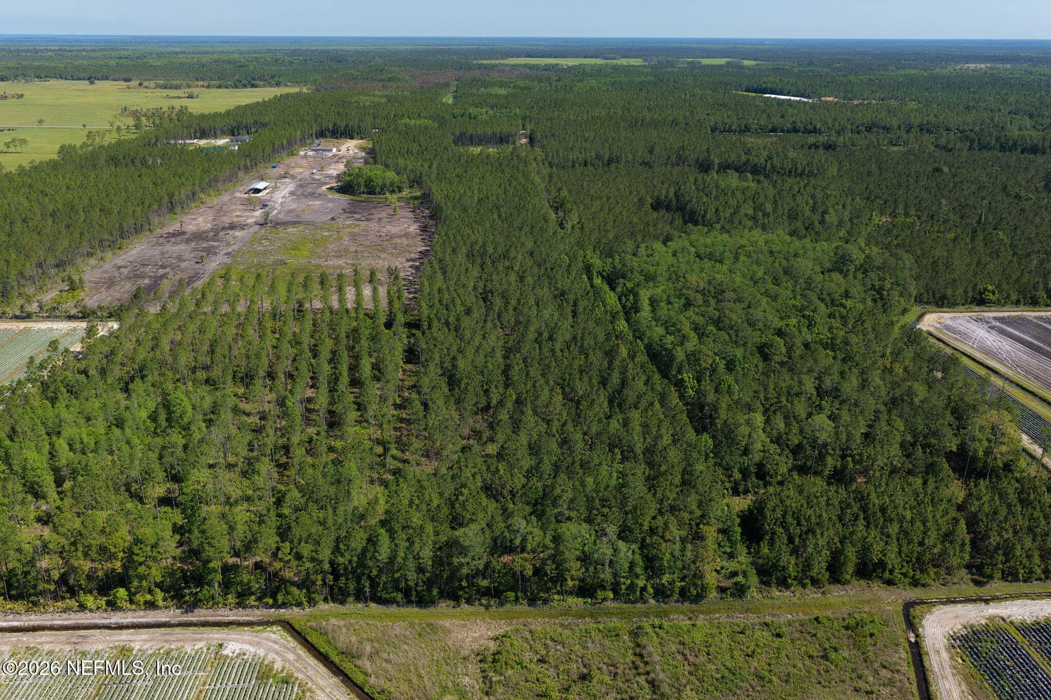 Photo 57 of 15539 COUNTY ROAD 305, Bunnell, FL 32110