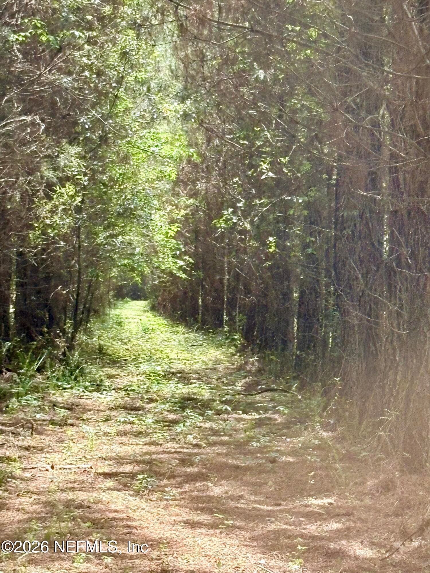 Photo 13 of 3500 NE ROCKY FORD Road, Madison, FL 32340