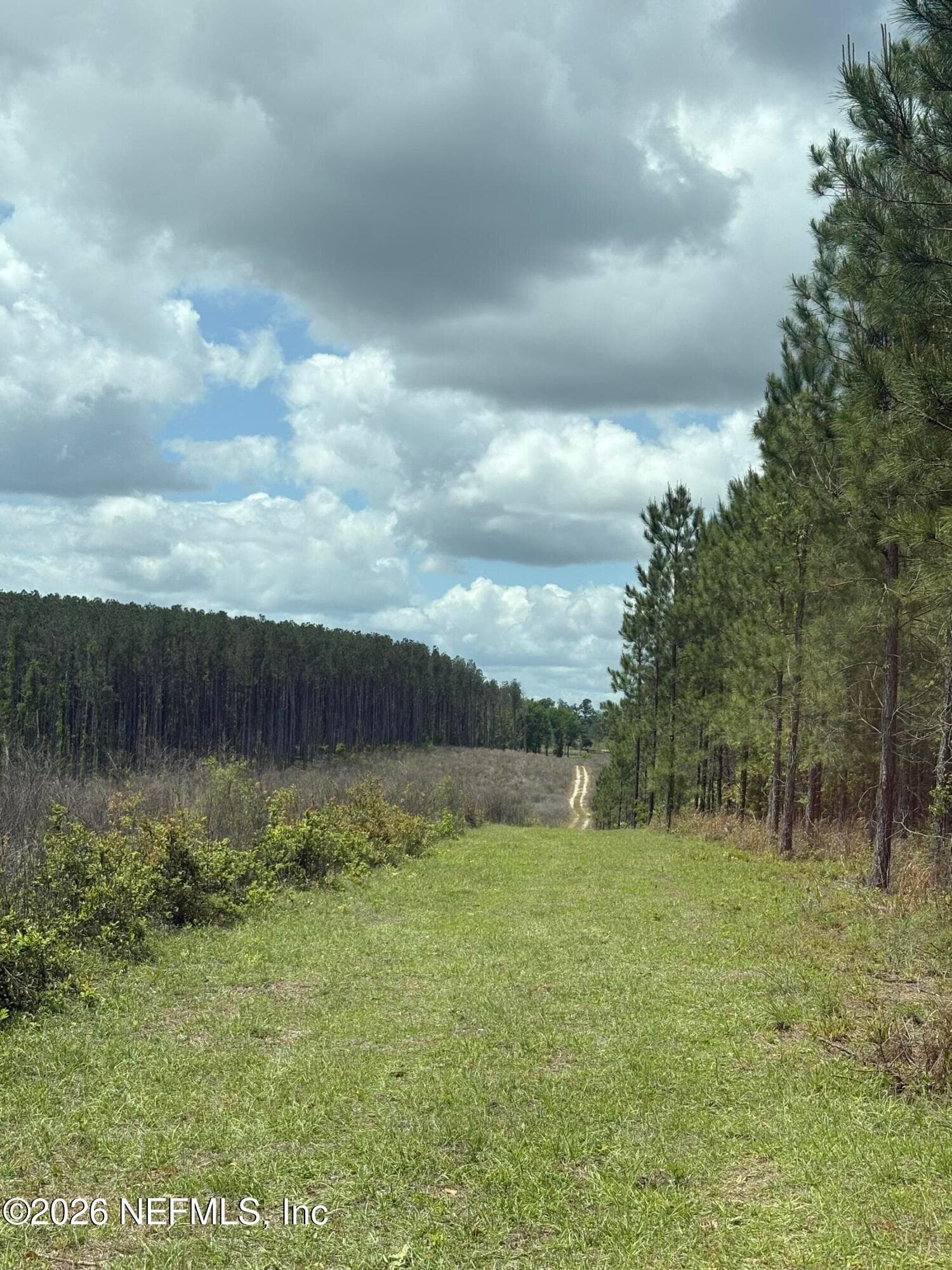 Photo 4 of 3500 NE ROCKY FORD Road, Madison, FL 32340