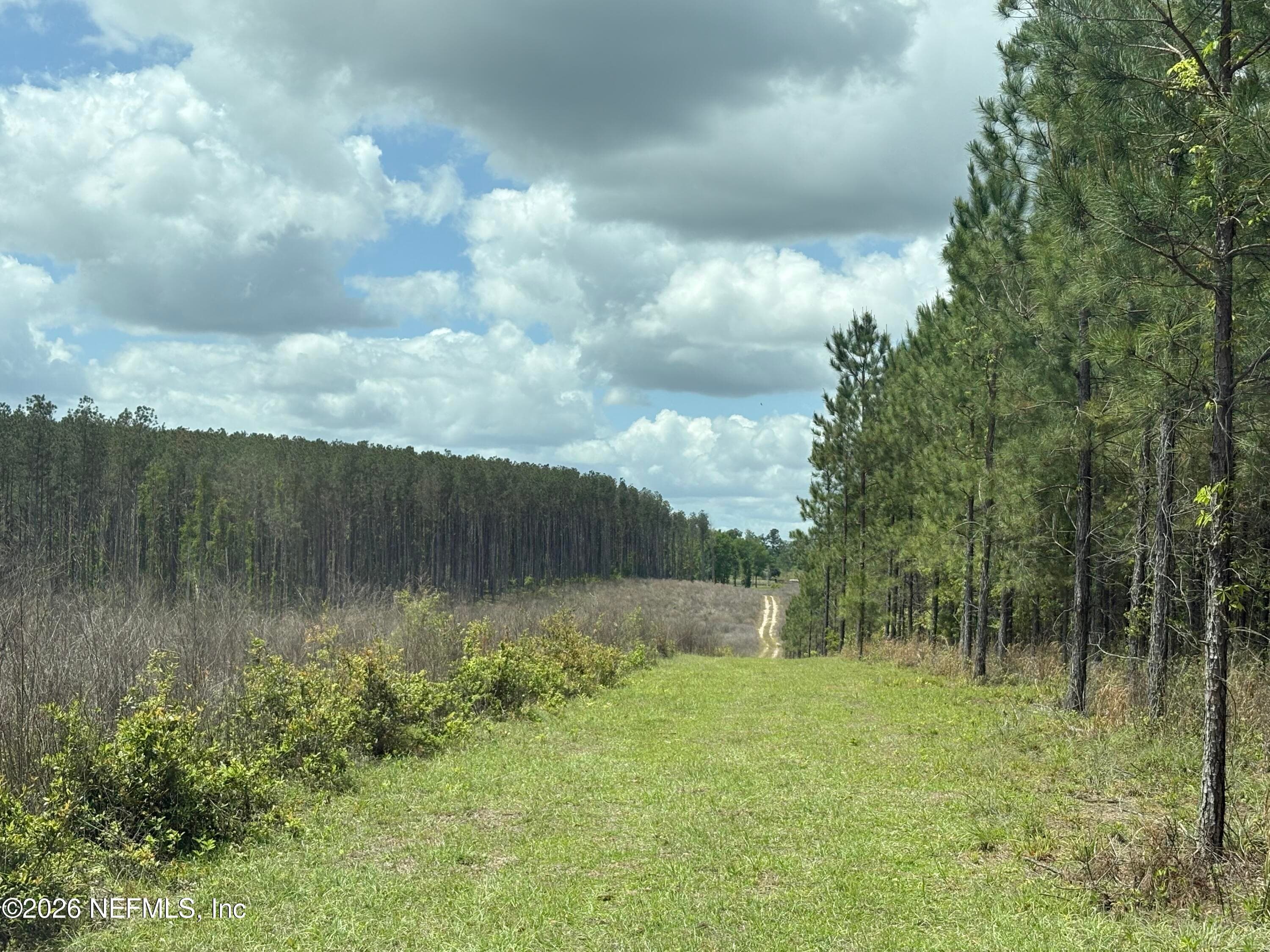 Photo 14 of 3600 NE ROCKY FORD Road, Madison, FL 32340