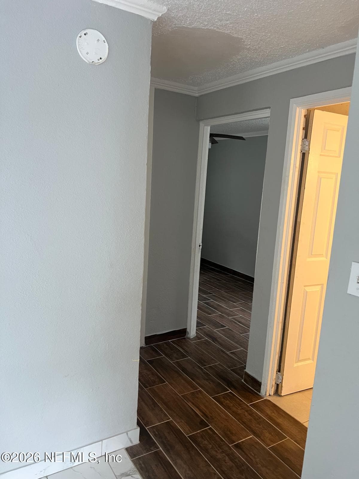 Photo 11 of 10502 WOOSTER Drive, Jacksonville, FL 32218