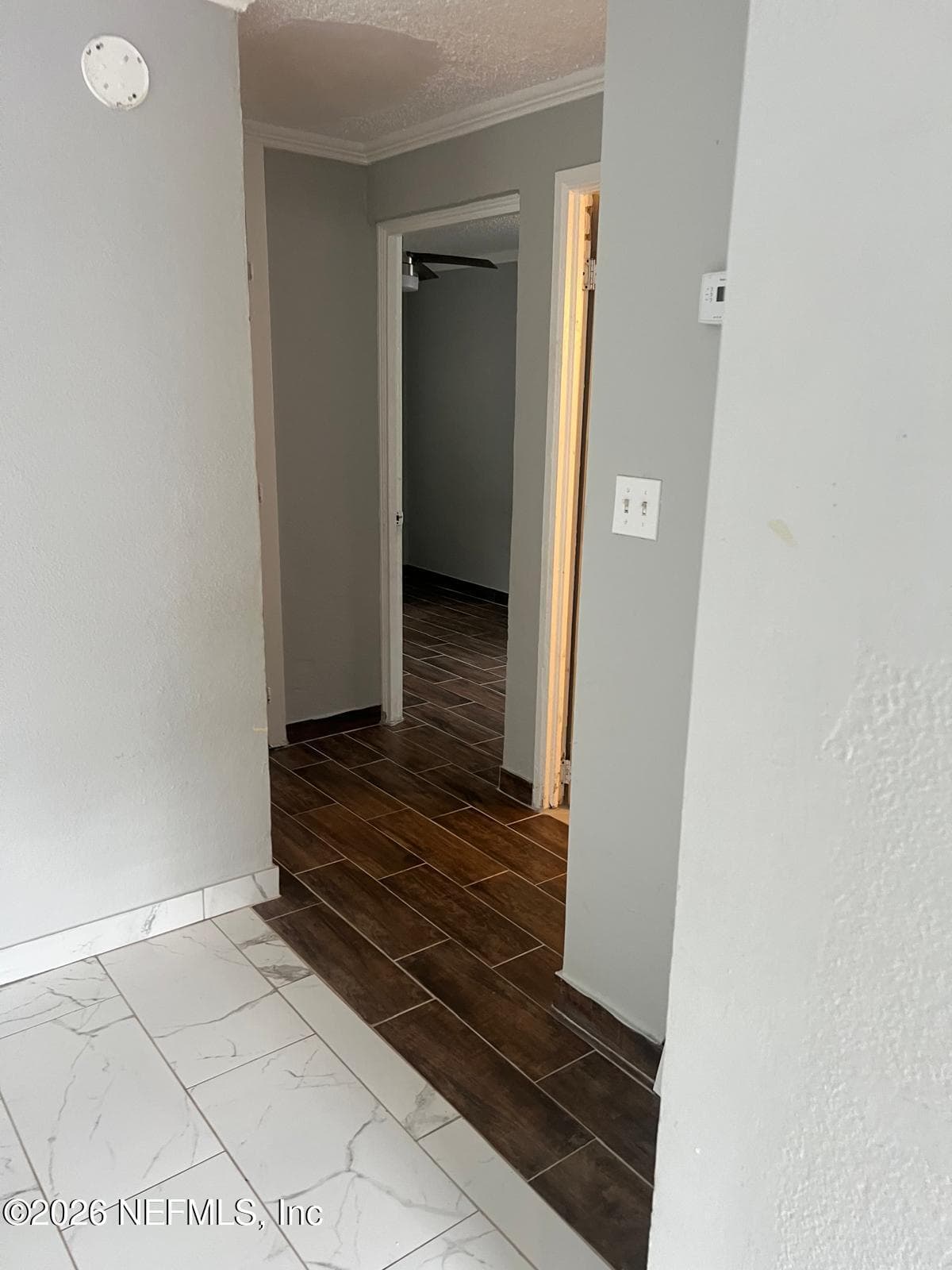 Photo 14 of 10502 WOOSTER Drive, Jacksonville, FL 32218