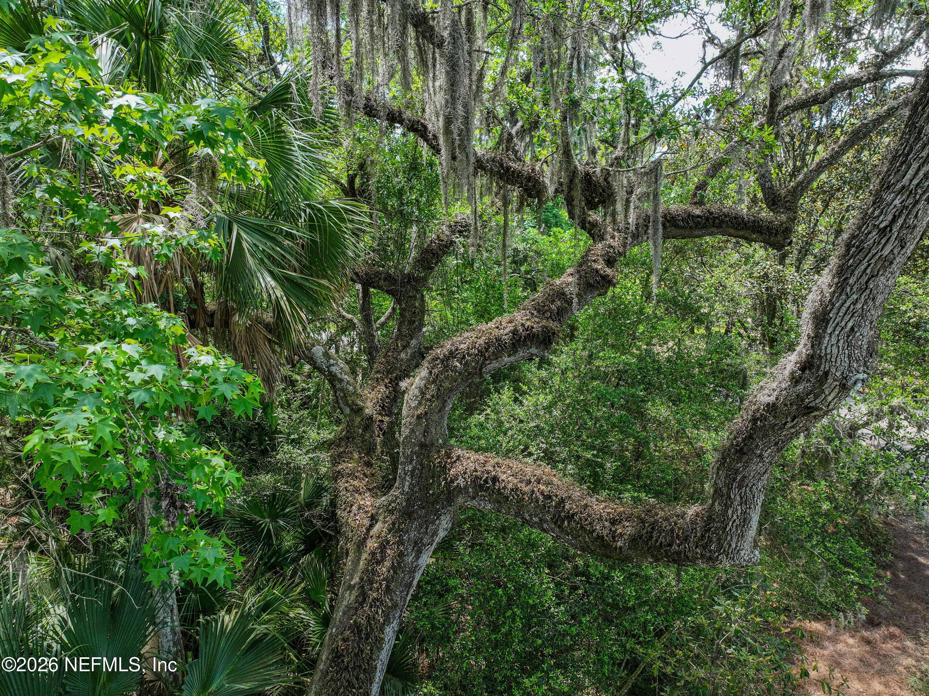 Photo 101 of 6030 OAKBROOK Court, Ponte Vedra Beach, FL 32082