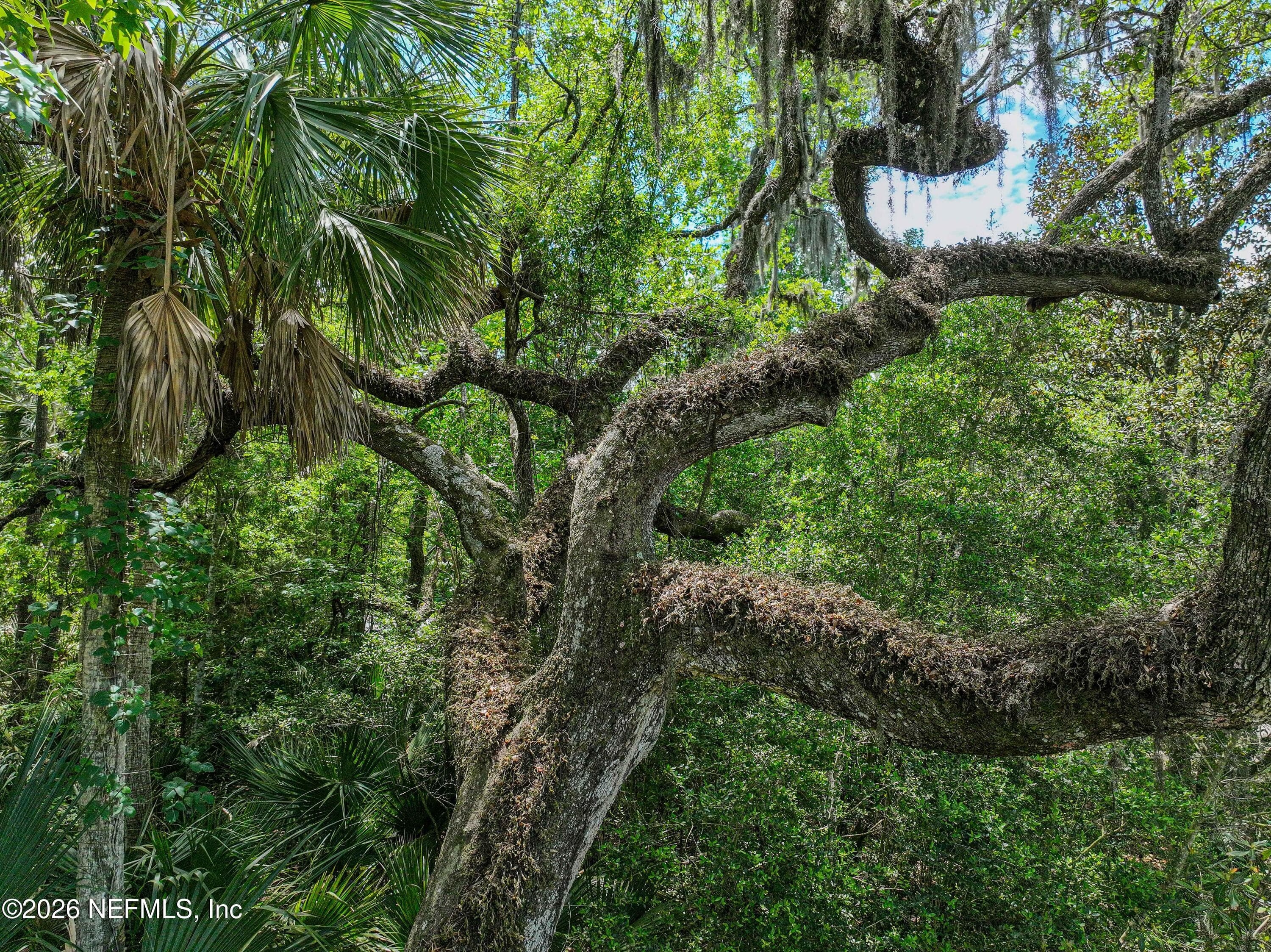 Photo 102 of 6030 OAKBROOK Court, Ponte Vedra Beach, FL 32082