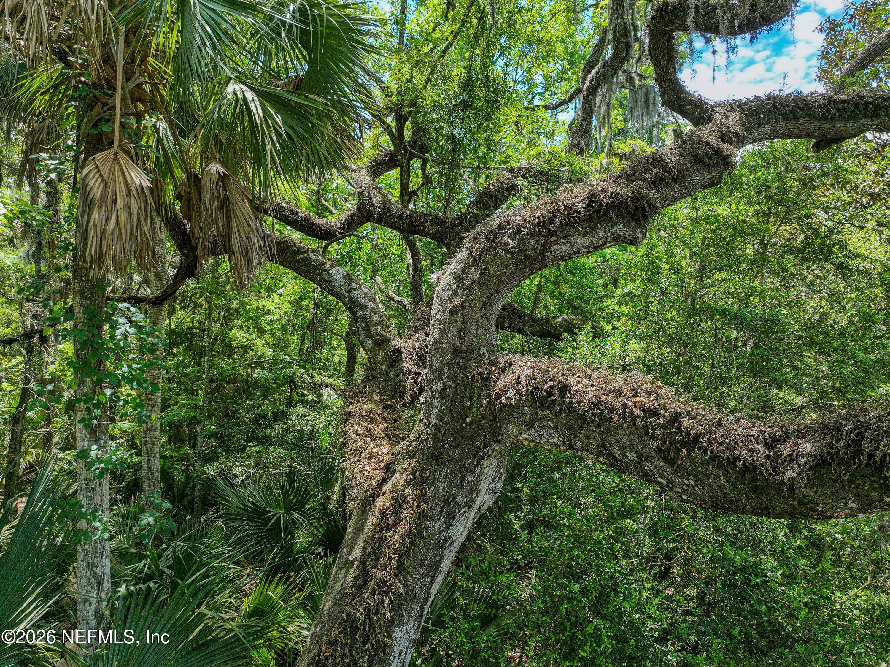 Photo 73 of 6030 OAKBROOK Court, Ponte Vedra Beach, FL 32082