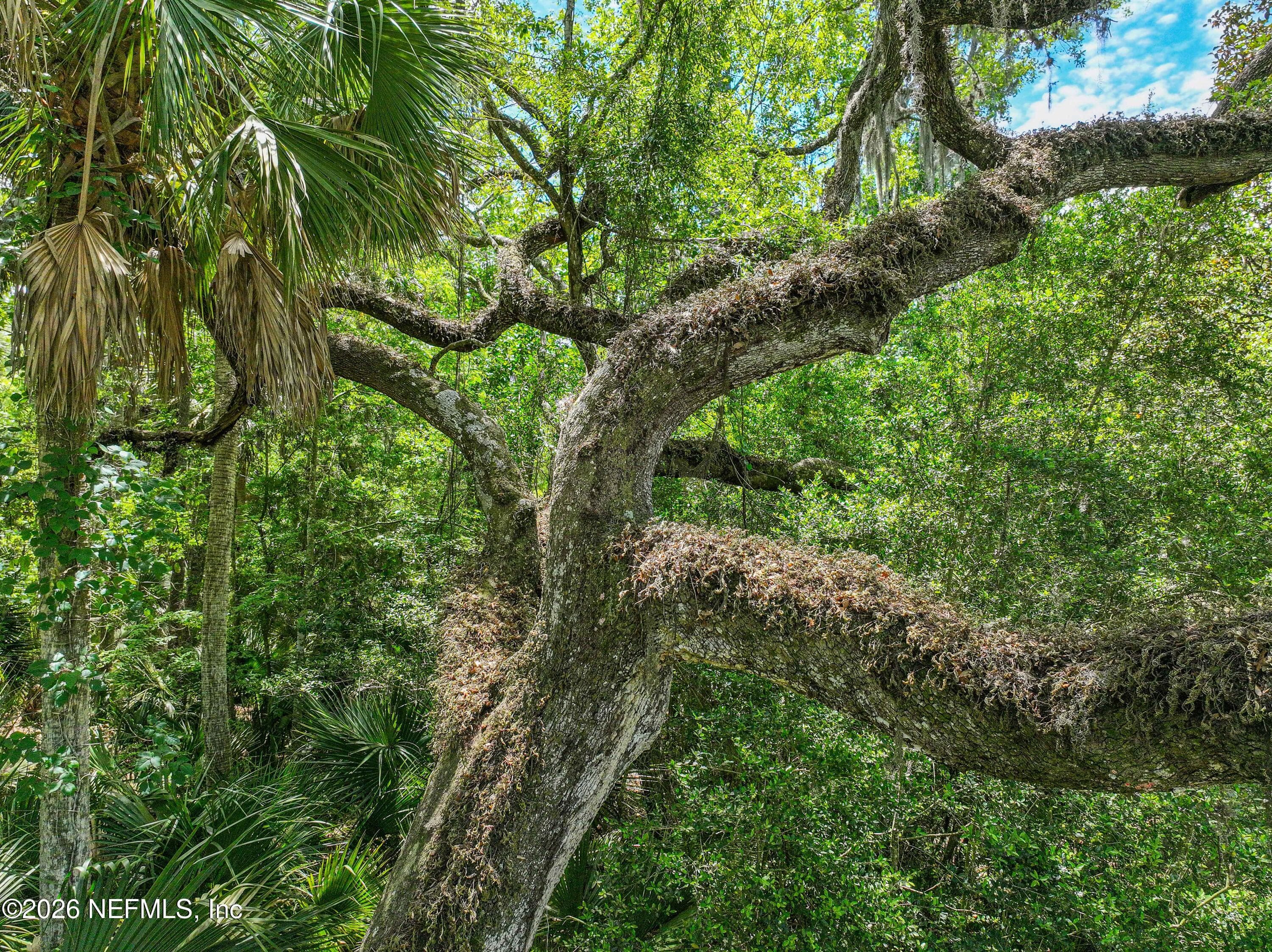 Photo 103 of 6030 OAKBROOK Court, Ponte Vedra Beach, FL 32082
