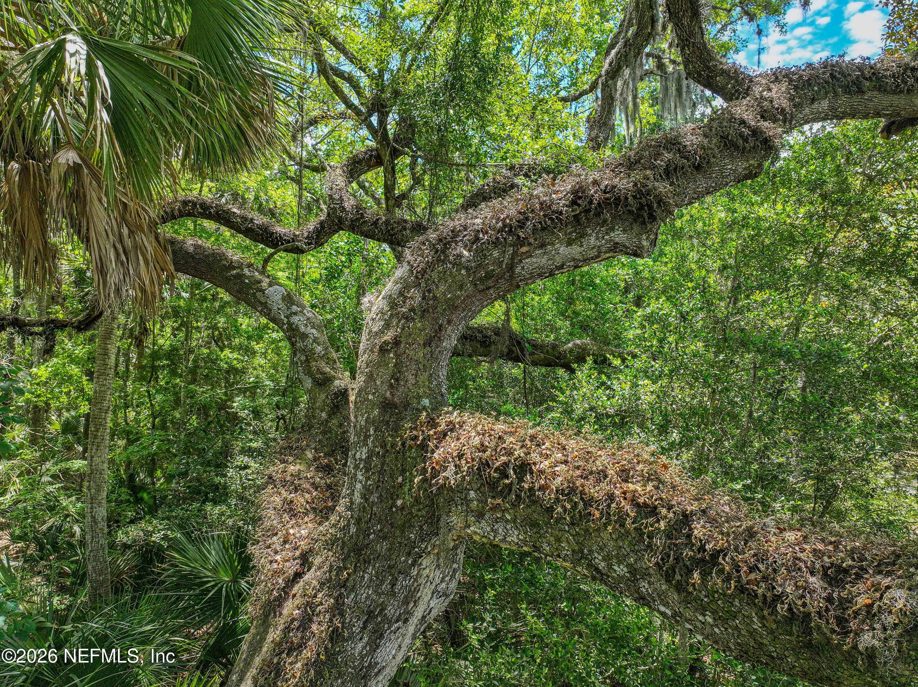 Photo 74 of 6030 OAKBROOK Court, Ponte Vedra Beach, FL 32082