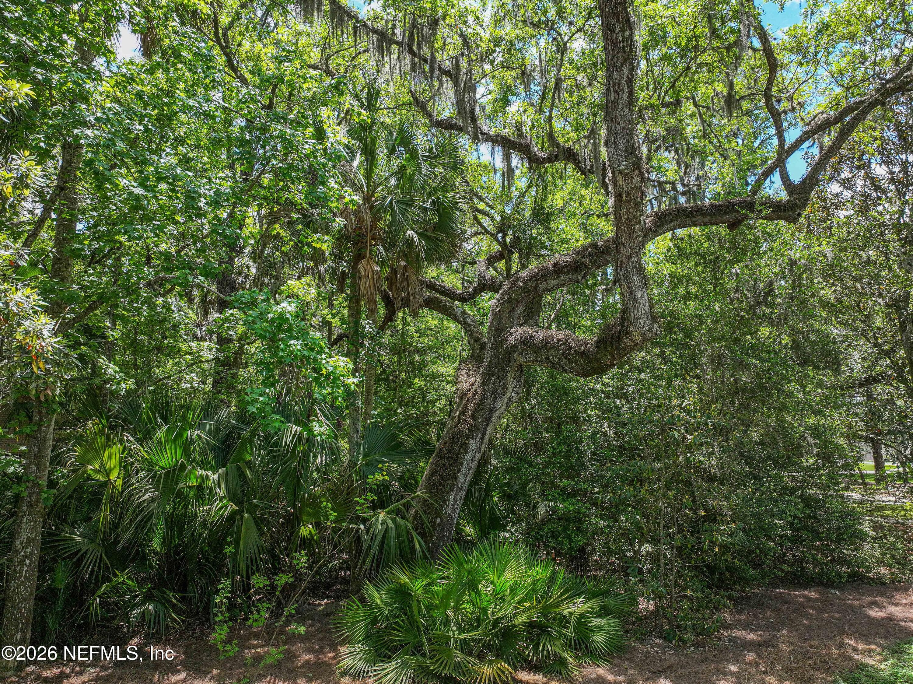 Photo 104 of 6030 OAKBROOK Court, Ponte Vedra Beach, FL 32082