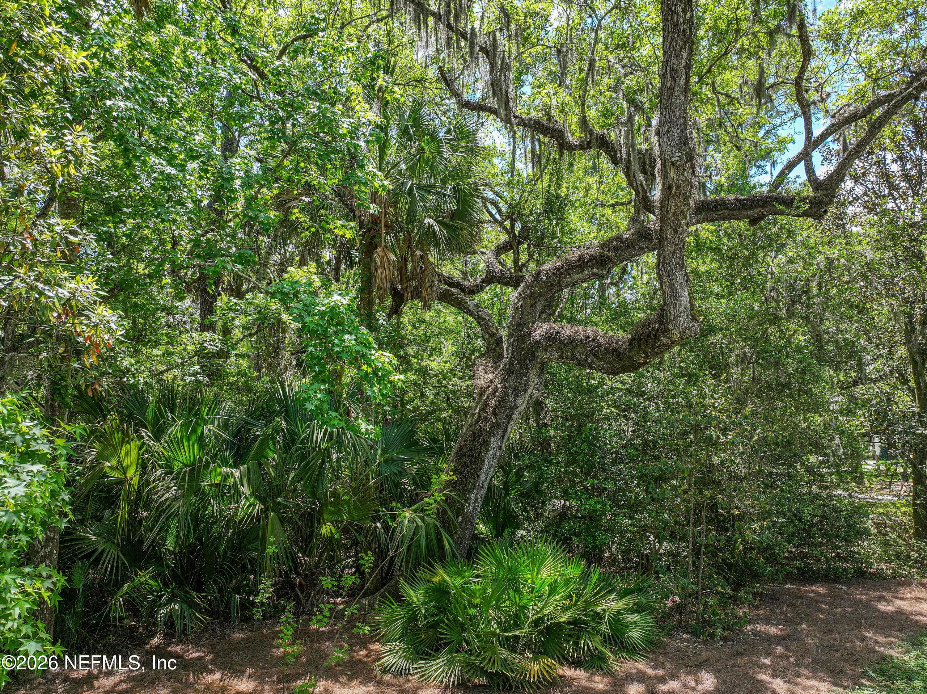 Photo 105 of 6030 OAKBROOK Court, Ponte Vedra Beach, FL 32082
