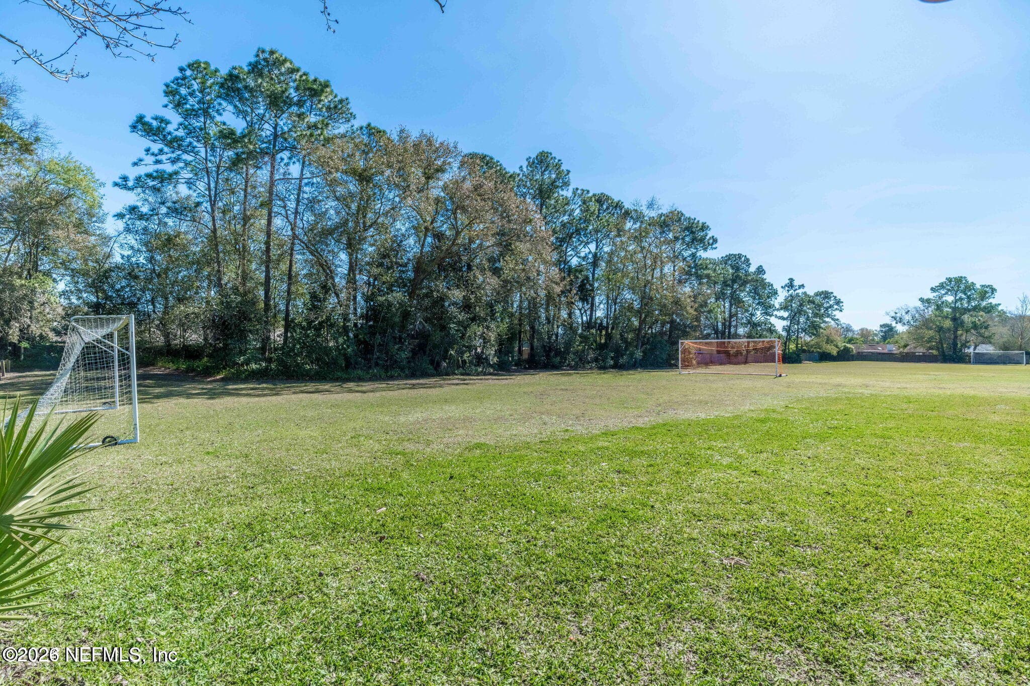 Photo 66 of 2192 THE WOODS Drive E, Jacksonville, FL 32246