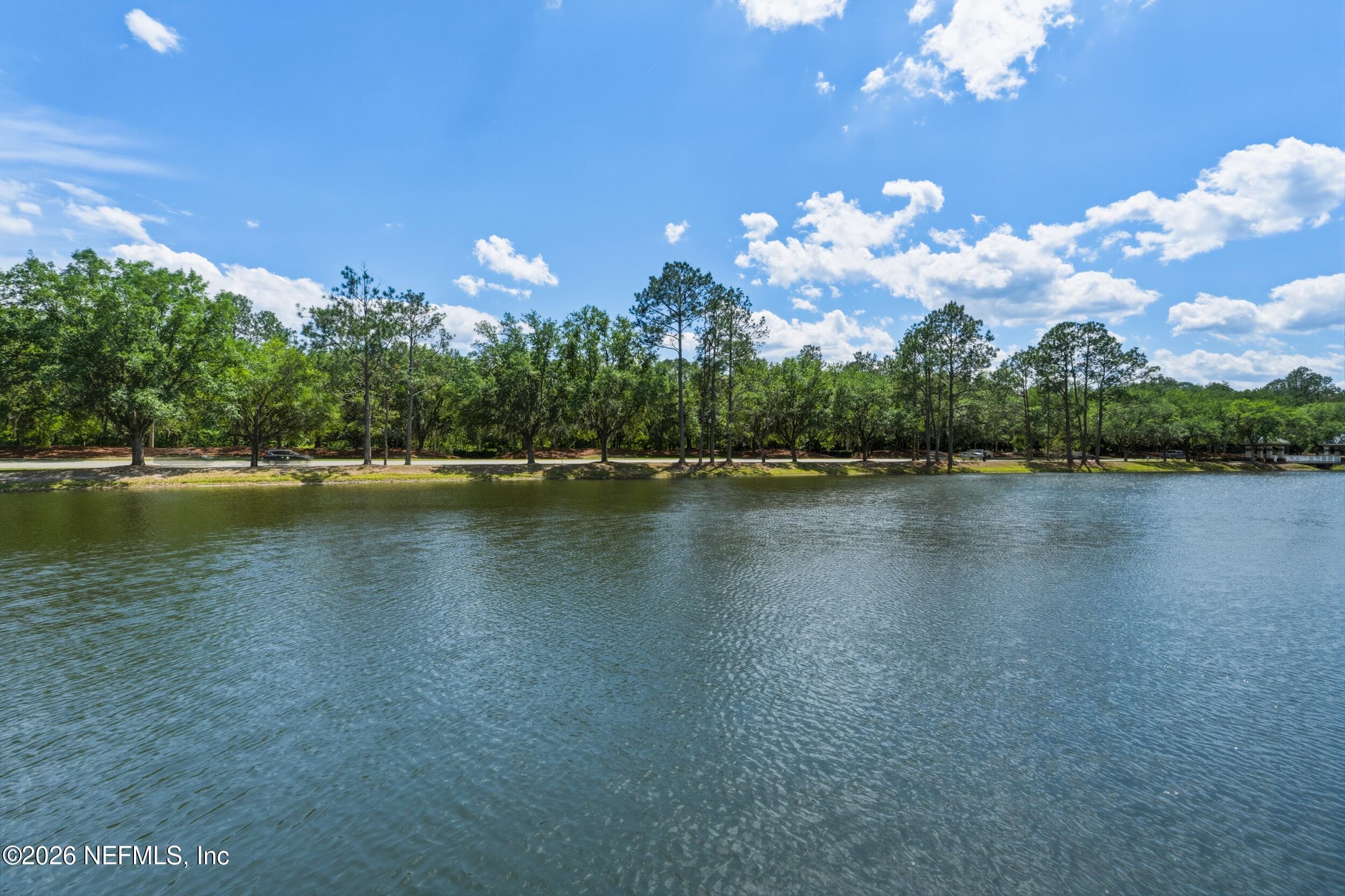 Photo 43 of 917 BUTTERCUP Drive, St. Johns, FL 32259