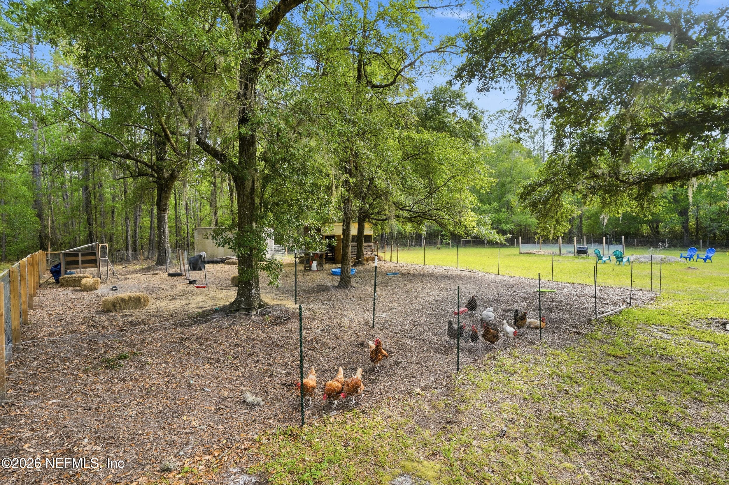 Photo 35 of 4143 EVERETT Avenue, Middleburg, FL 32068