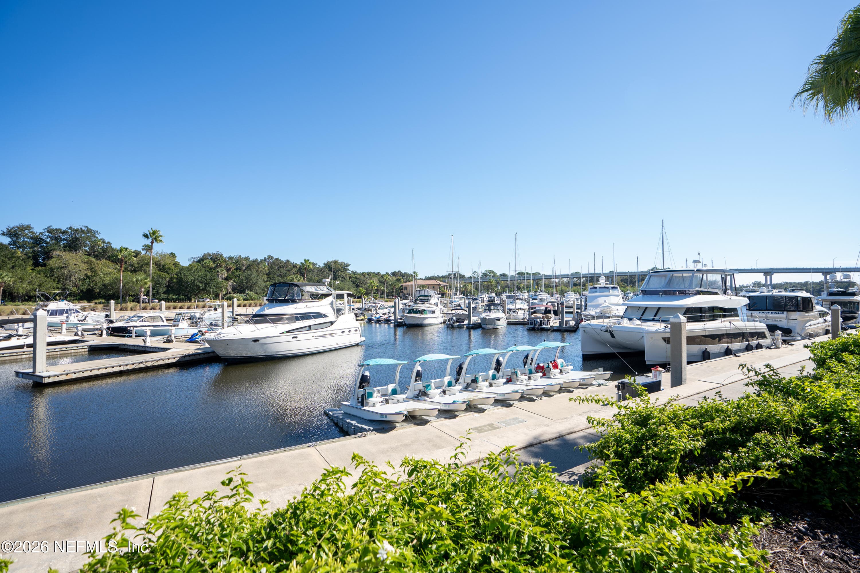 Photo 56 of 219 MISTY HARBOR Trace, Palm Coast, FL 32137