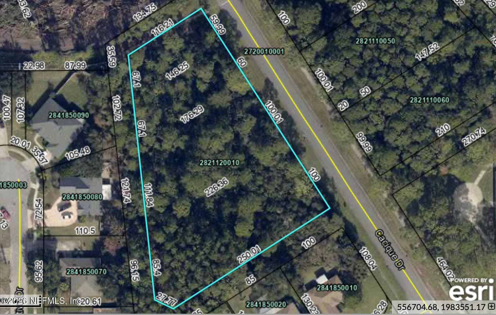 SJC GIS Map image - possibility of 4 lots within current parcel — 265 CACIQUE Drive, St. Augustine, FL 32086