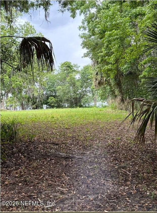 Photo 11 of 0 WEERTS Road, San Mateo, FL 32187