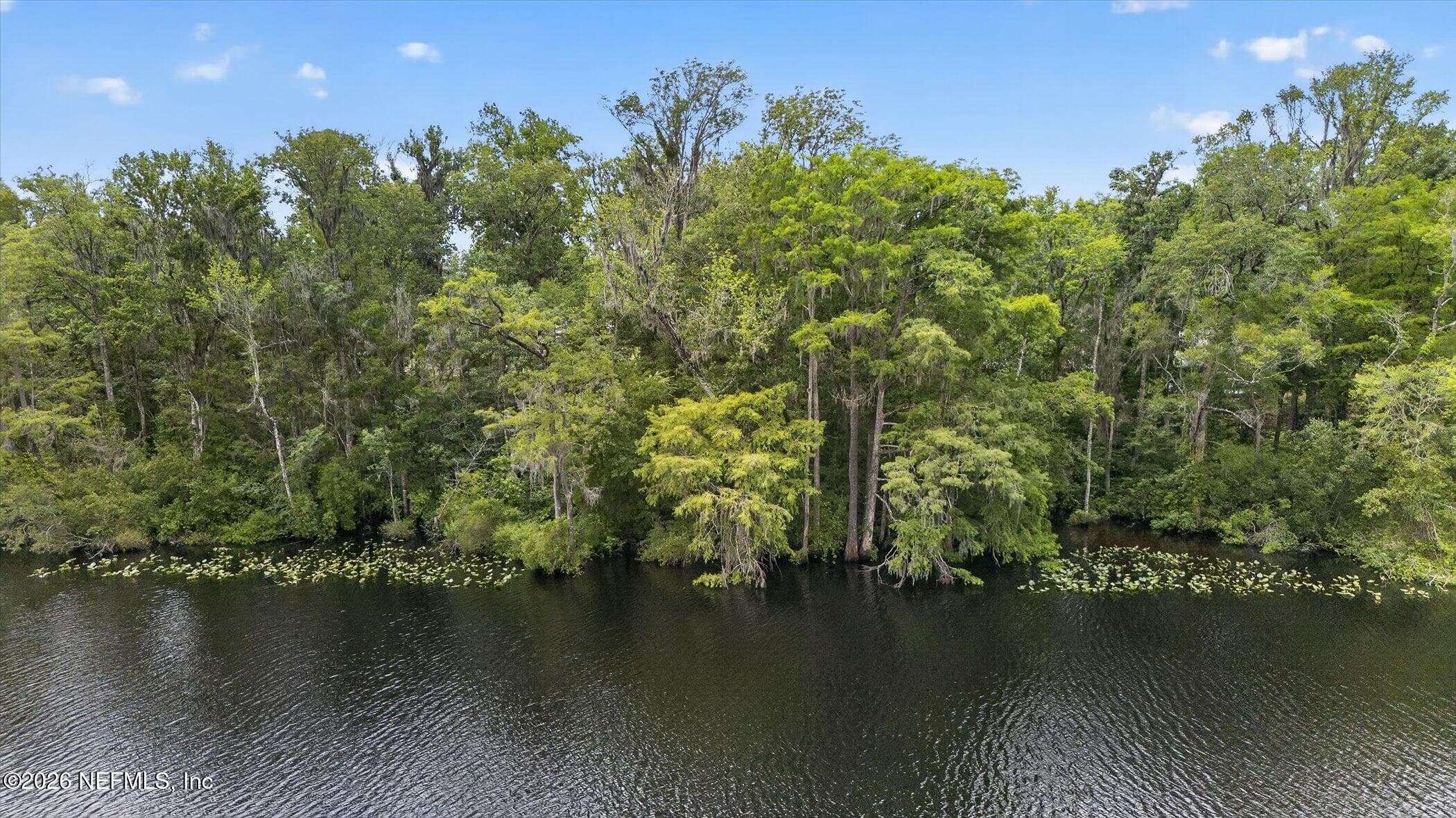 Photo 48 of 2189 THORP Road, Green Cove Springs, FL 32043