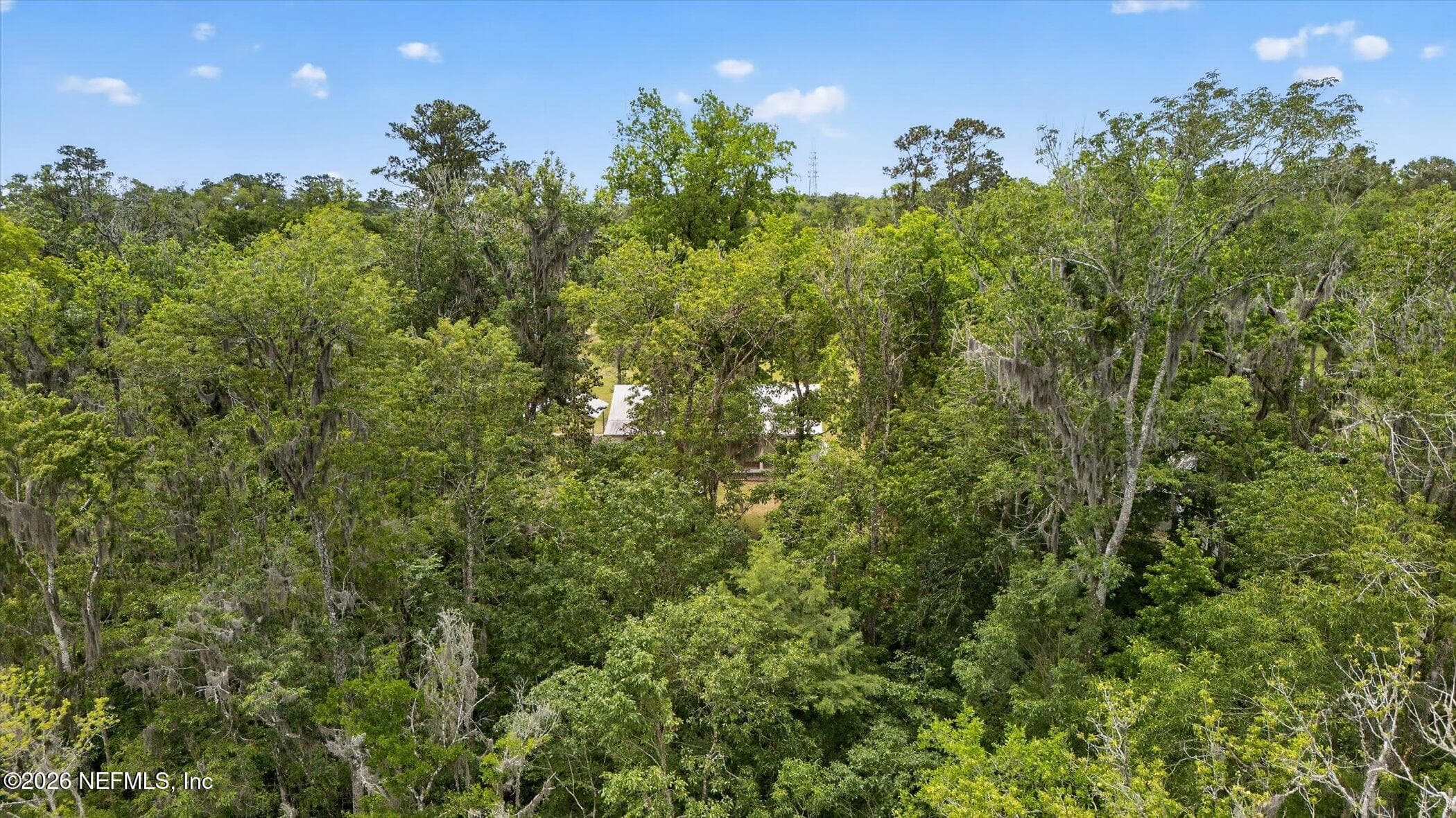 Photo 49 of 2189 THORP Road, Green Cove Springs, FL 32043