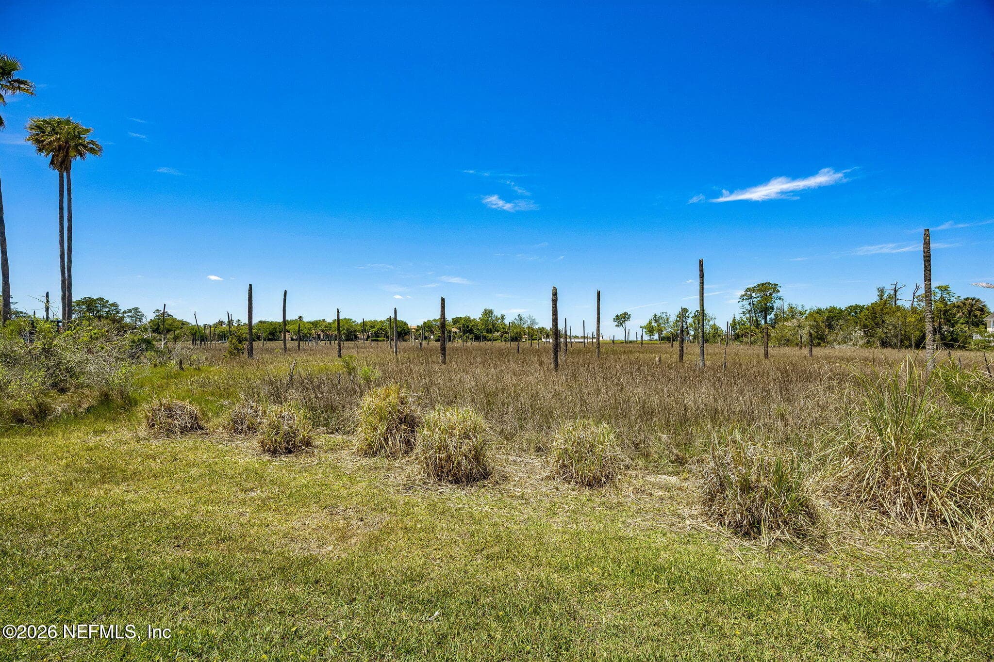 Photo 45 of 165 INDIAN COVE Lane, Ponte Vedra Beach, FL 32082