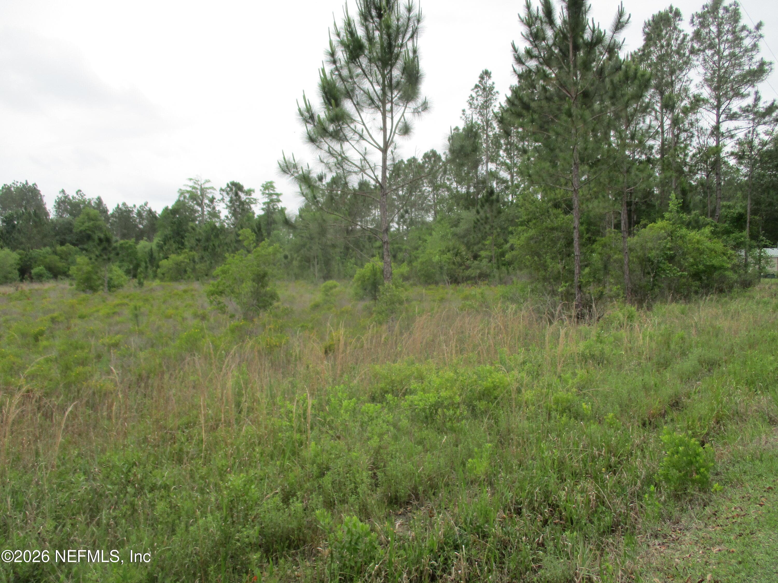 Photo 3 of 0 QUAIL Road, Callahan, FL 32011