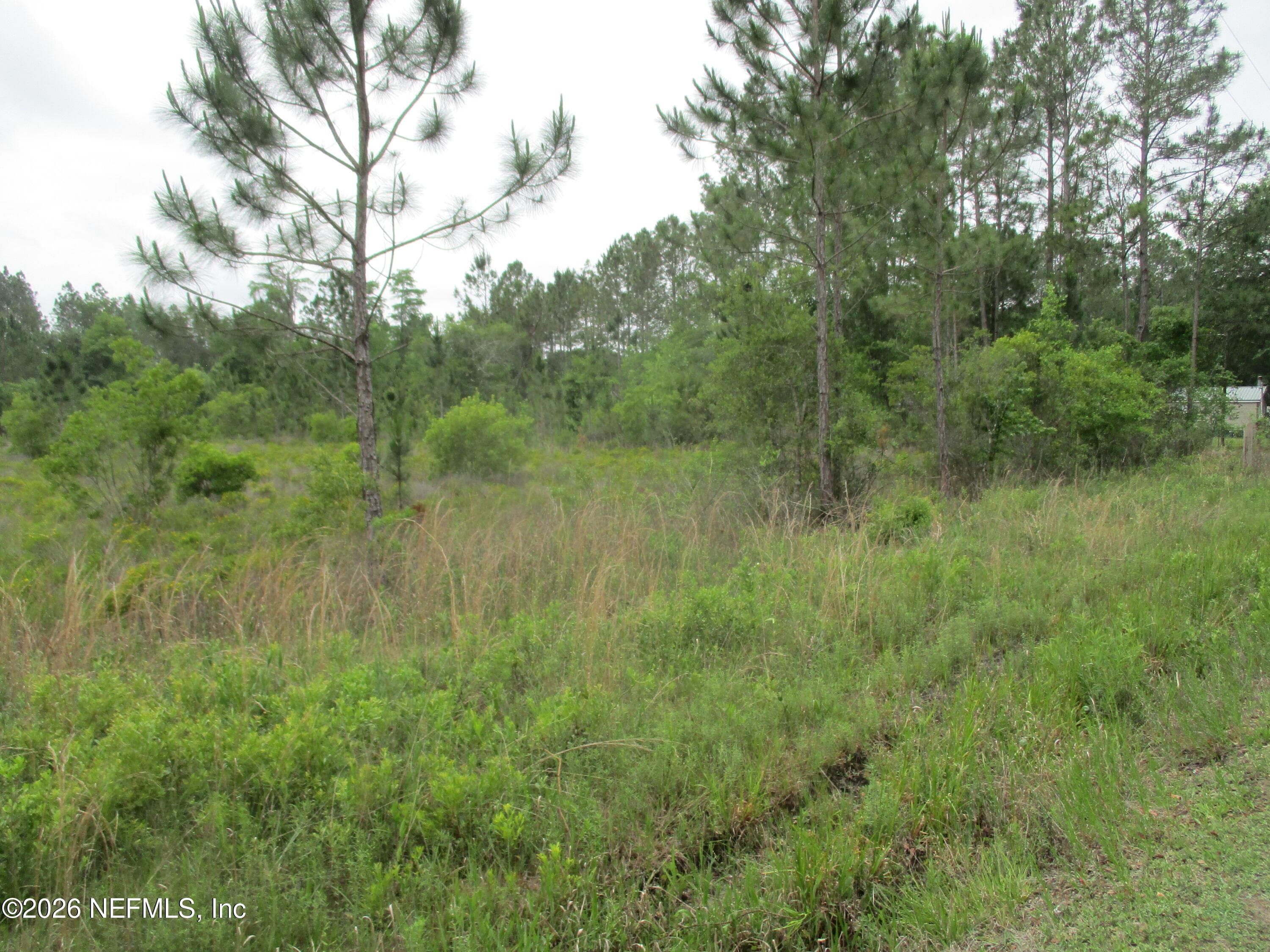 Photo 5 of 0 QUAIL Road, Callahan, FL 32011
