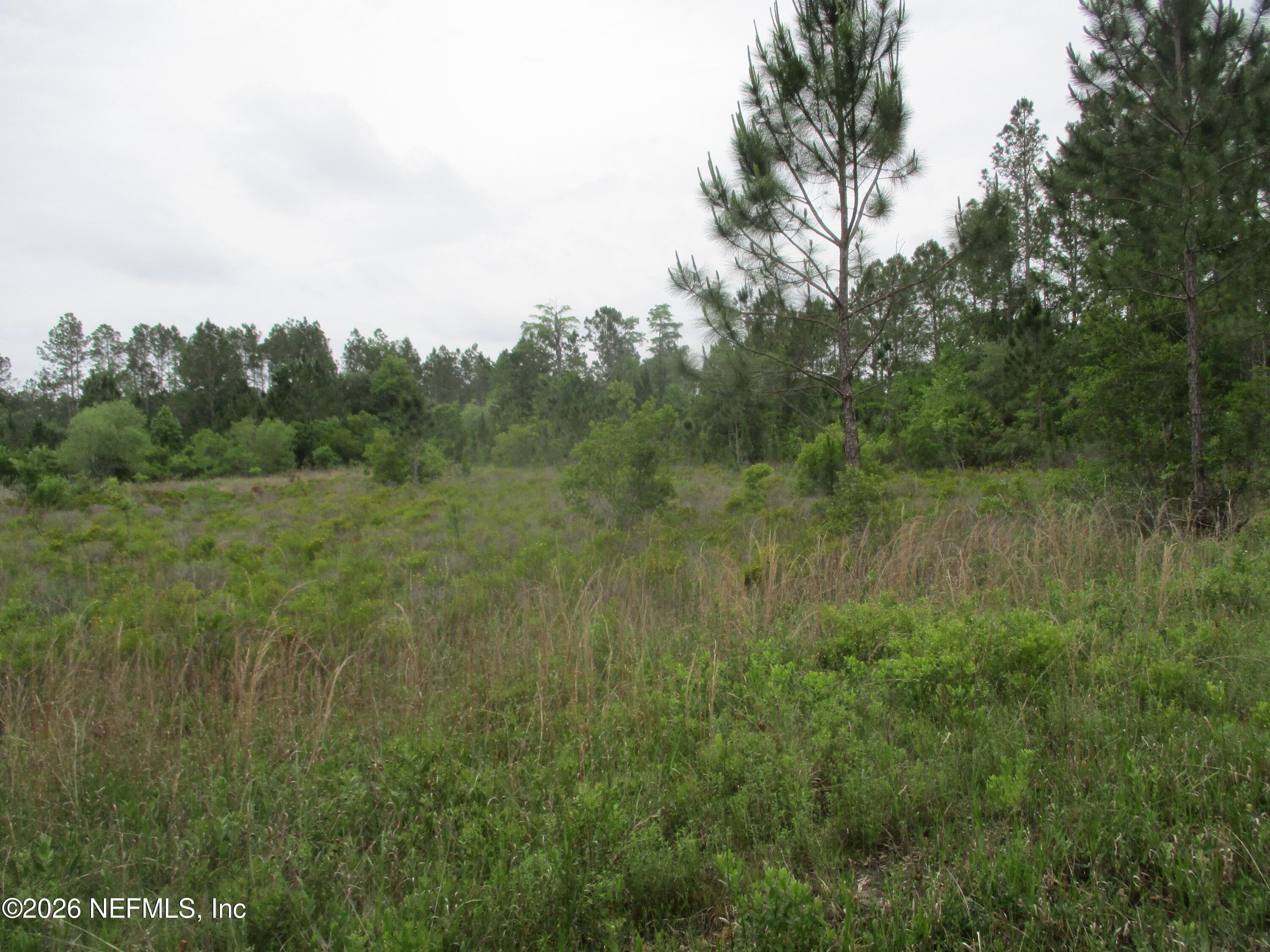 Photo 8 of 0 QUAIL Road, Callahan, FL 32011